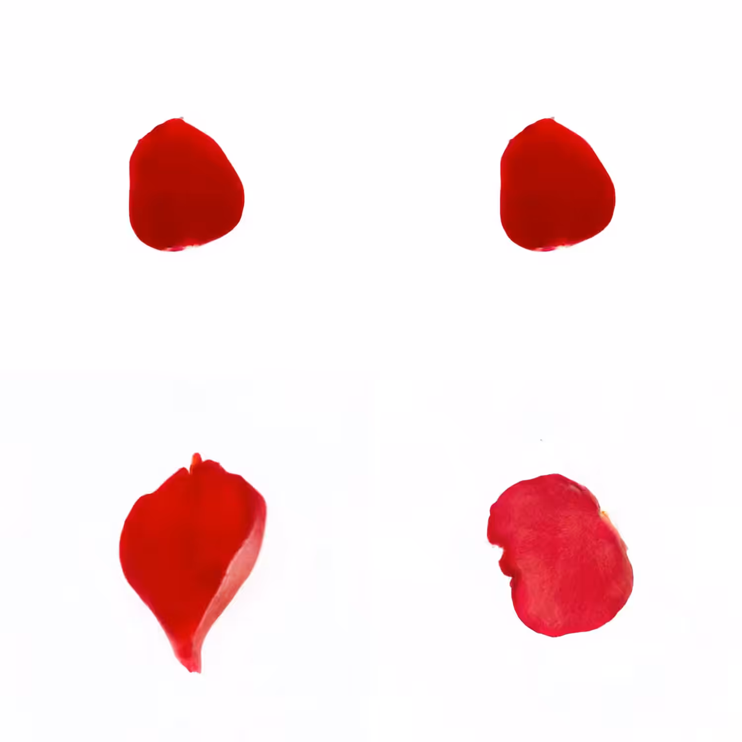 Infinite Petals 2x2#3952