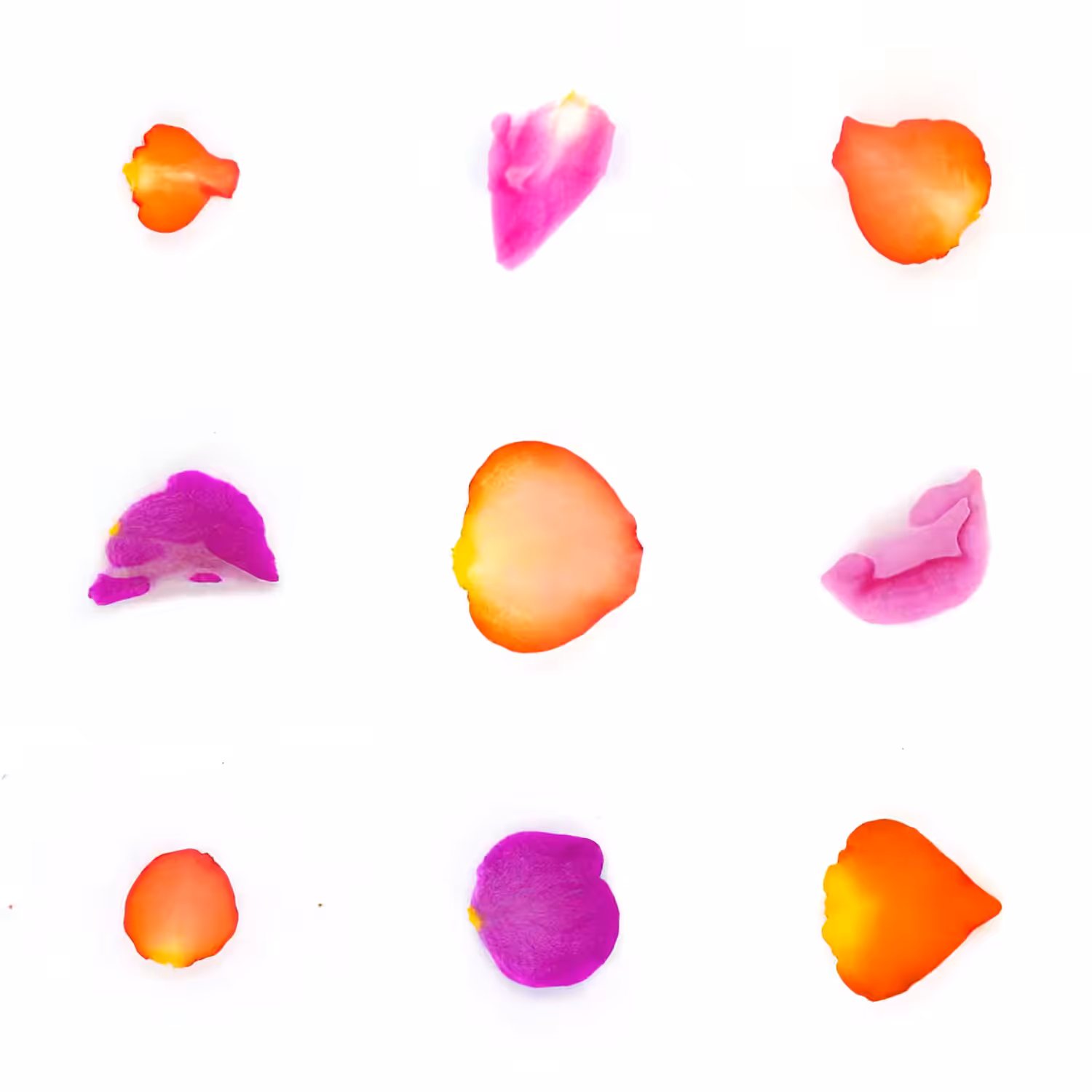 Infinite Petals 3x3#1105