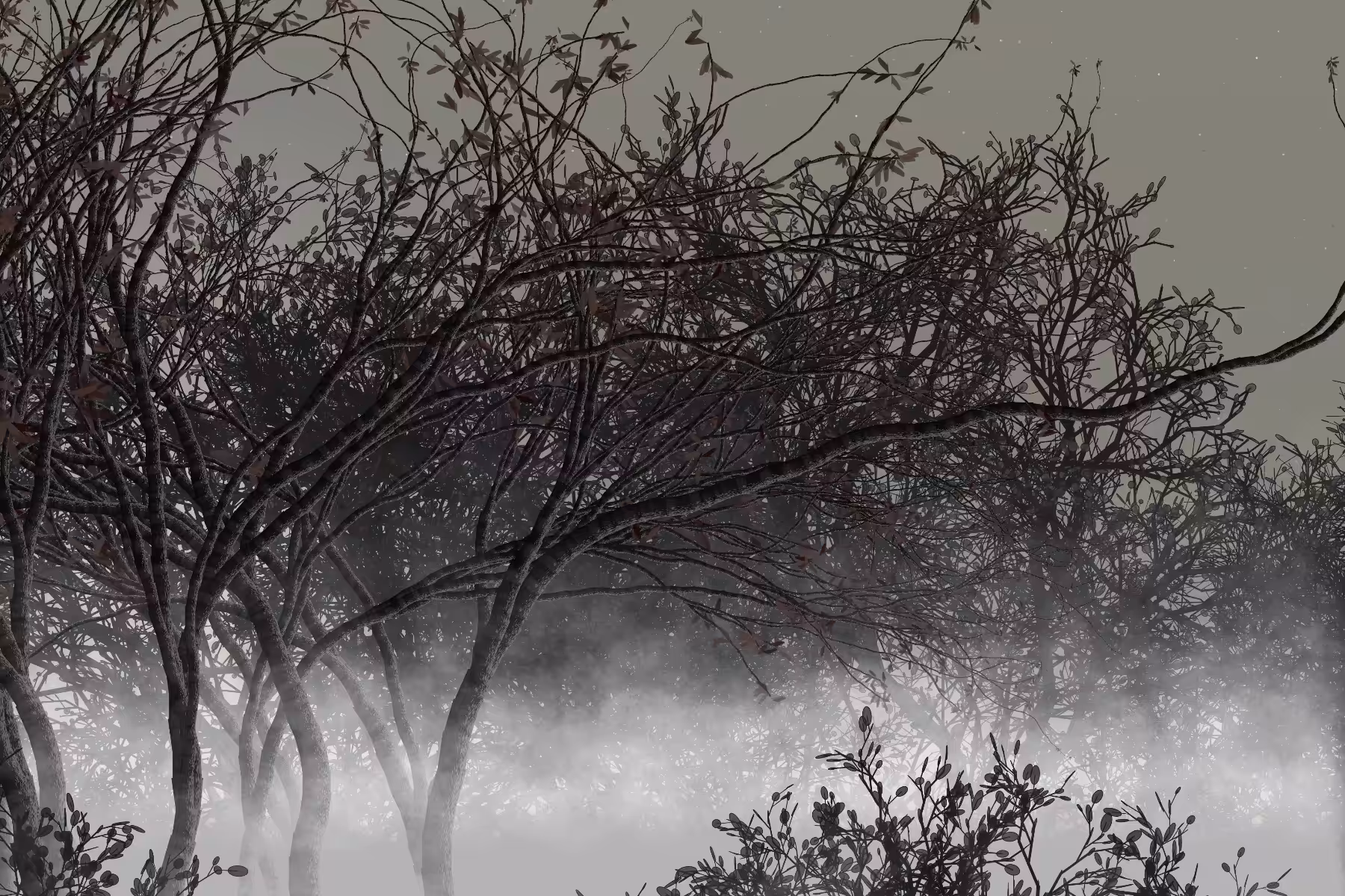 Morning Mist #54
