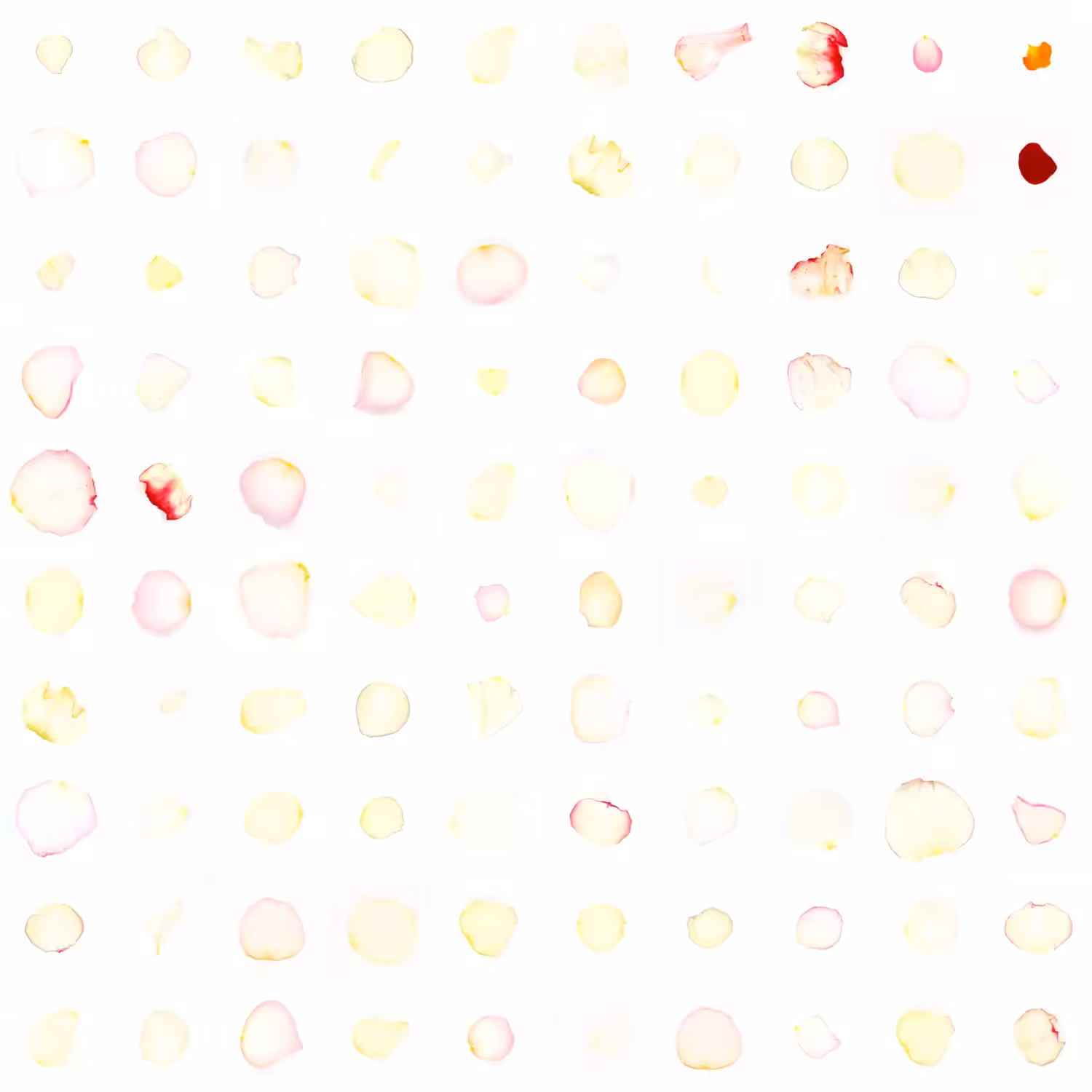 Infinite Petals 10x10#2658