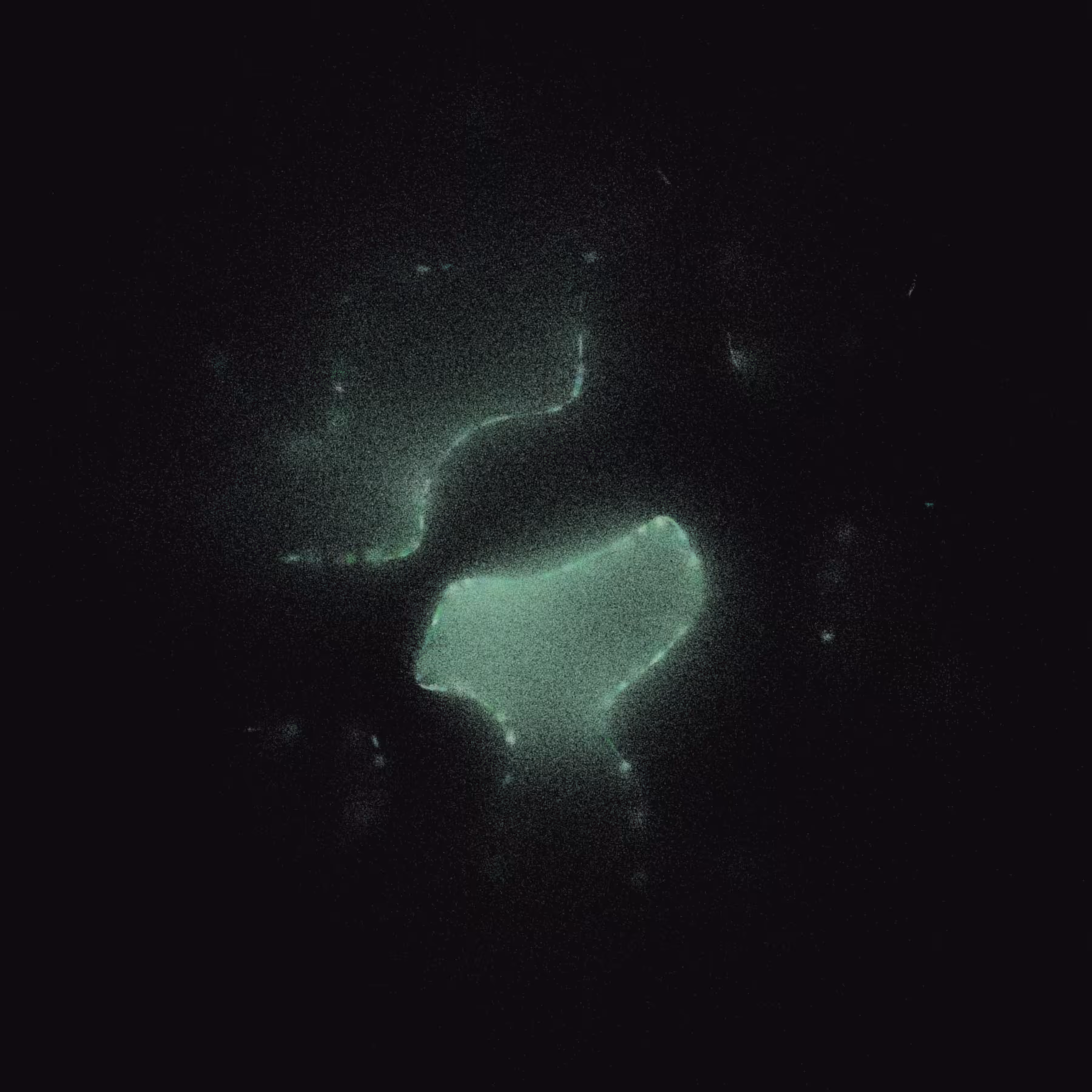 Membrane #39