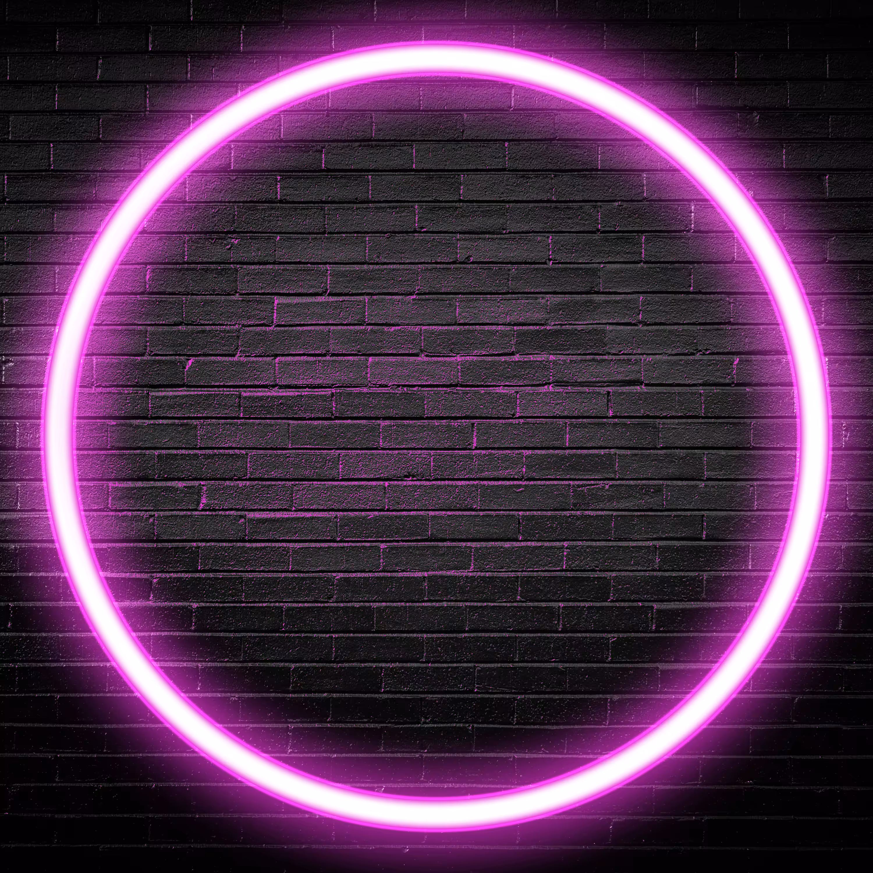 Inner Circle PFPs - Neon Purple