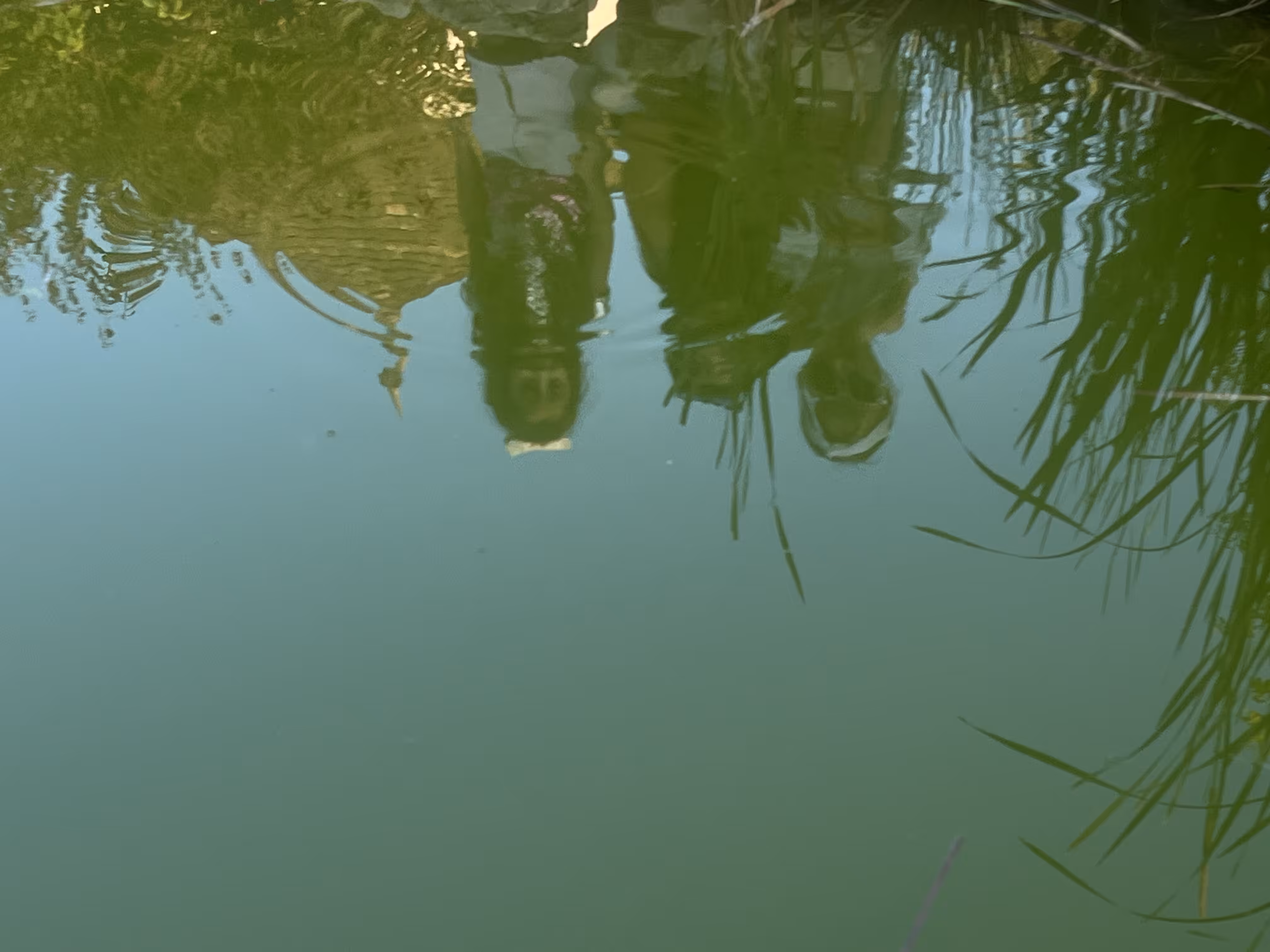 Reflections 