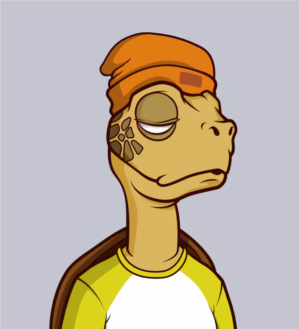 Tiny Turtle 132
