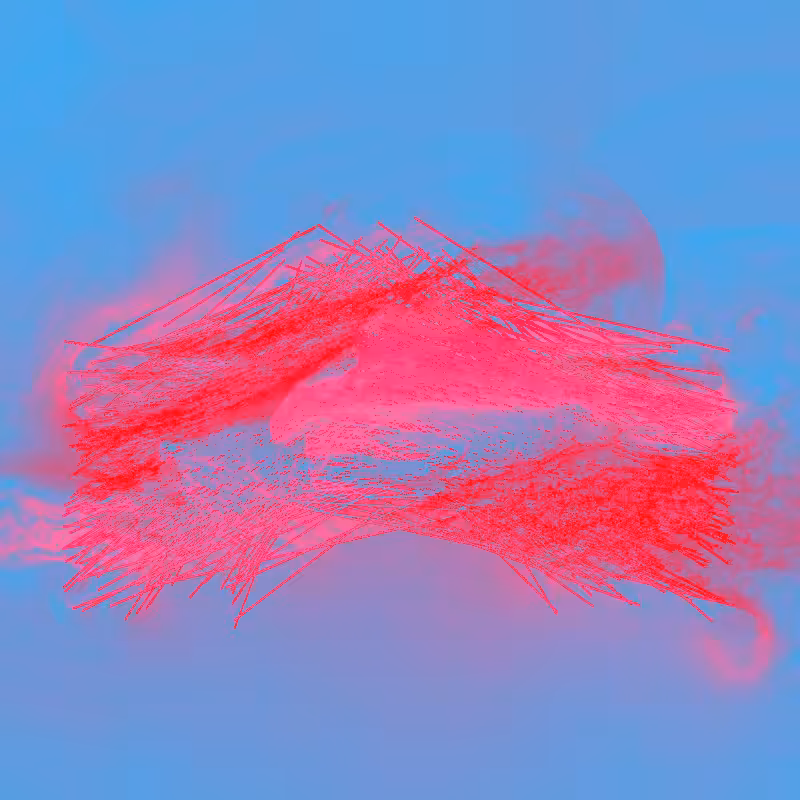 xxf #100