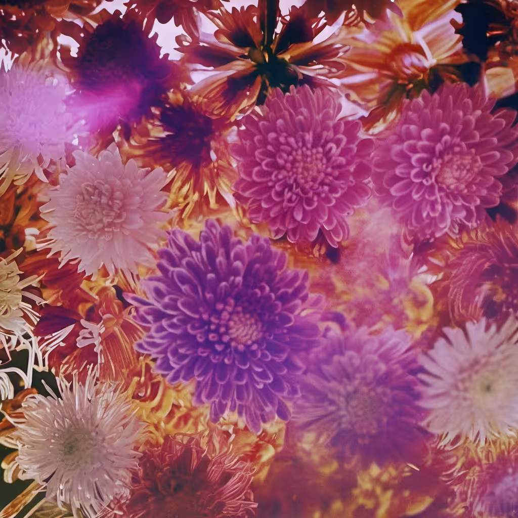 Bloom #21