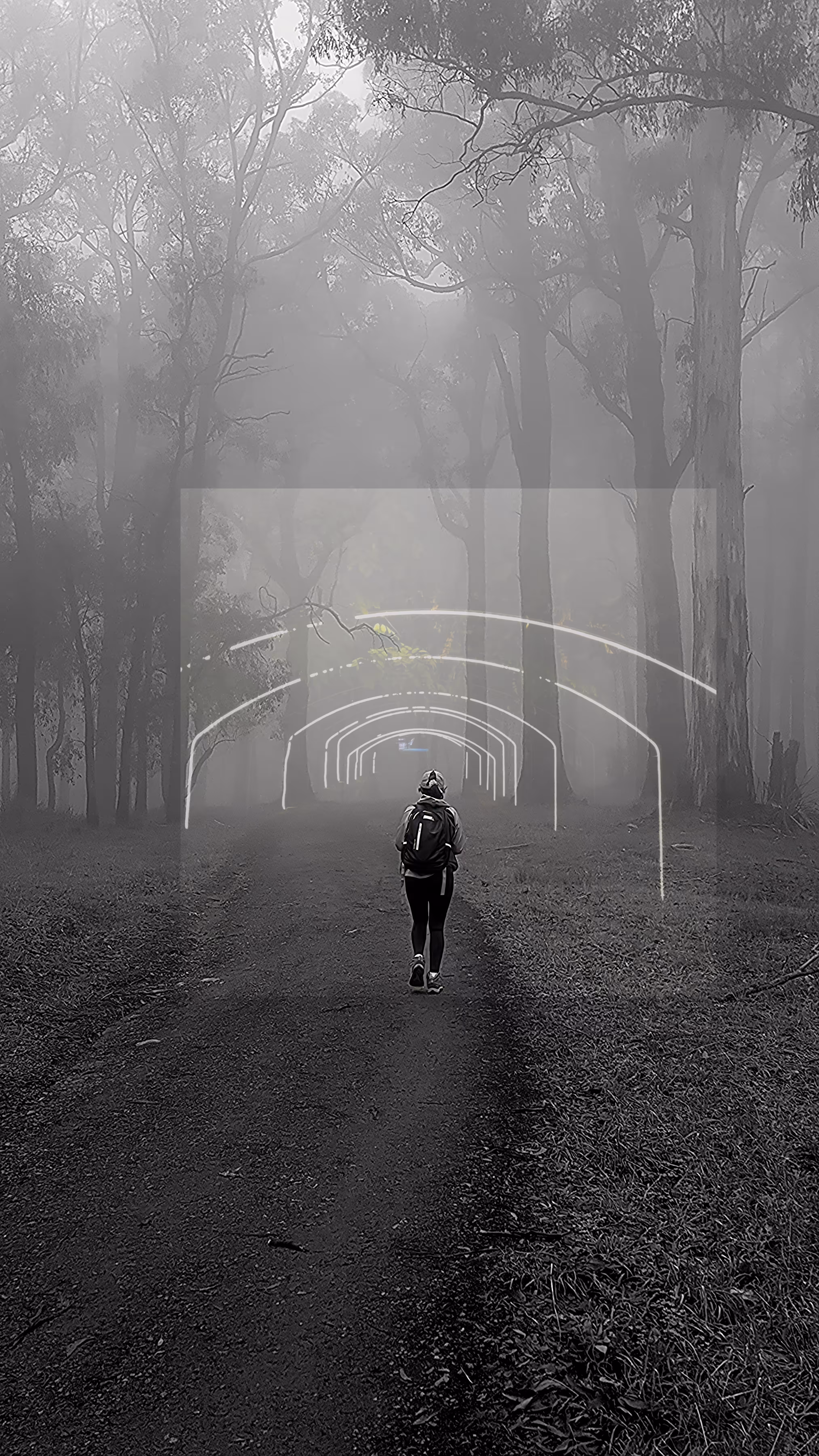 Towards the light