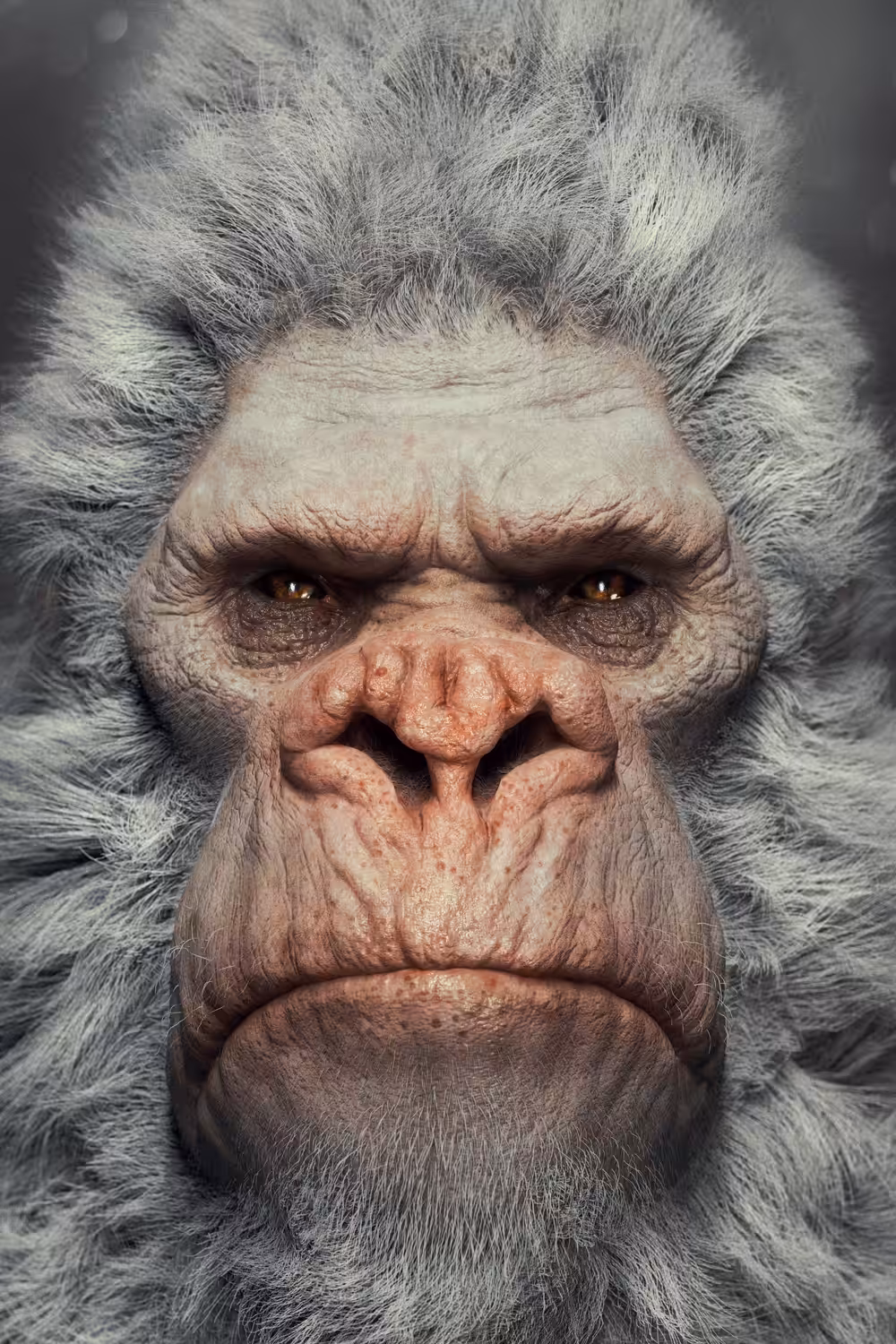 Primate 2 | Gorilla