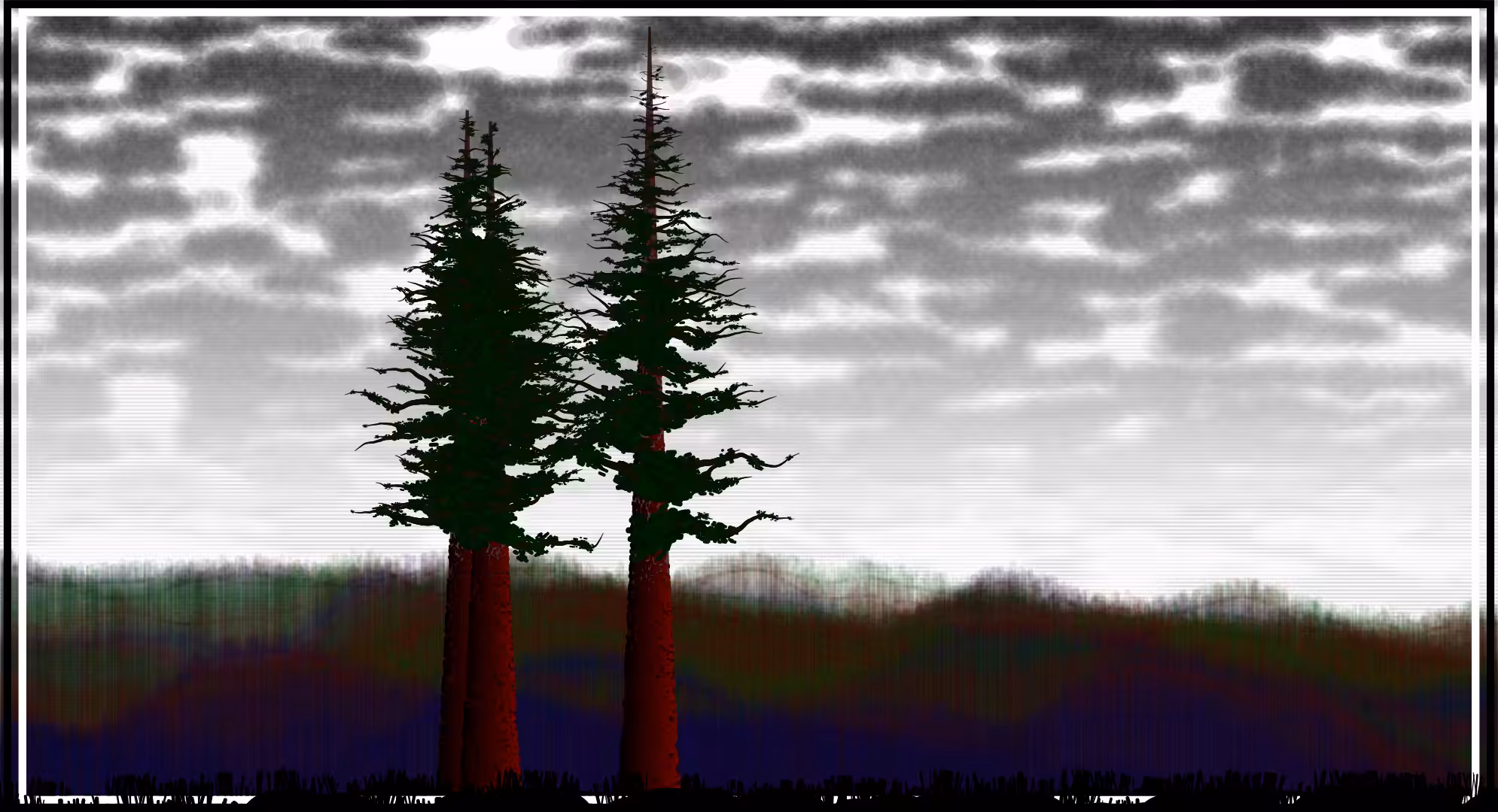 Sequoias #14