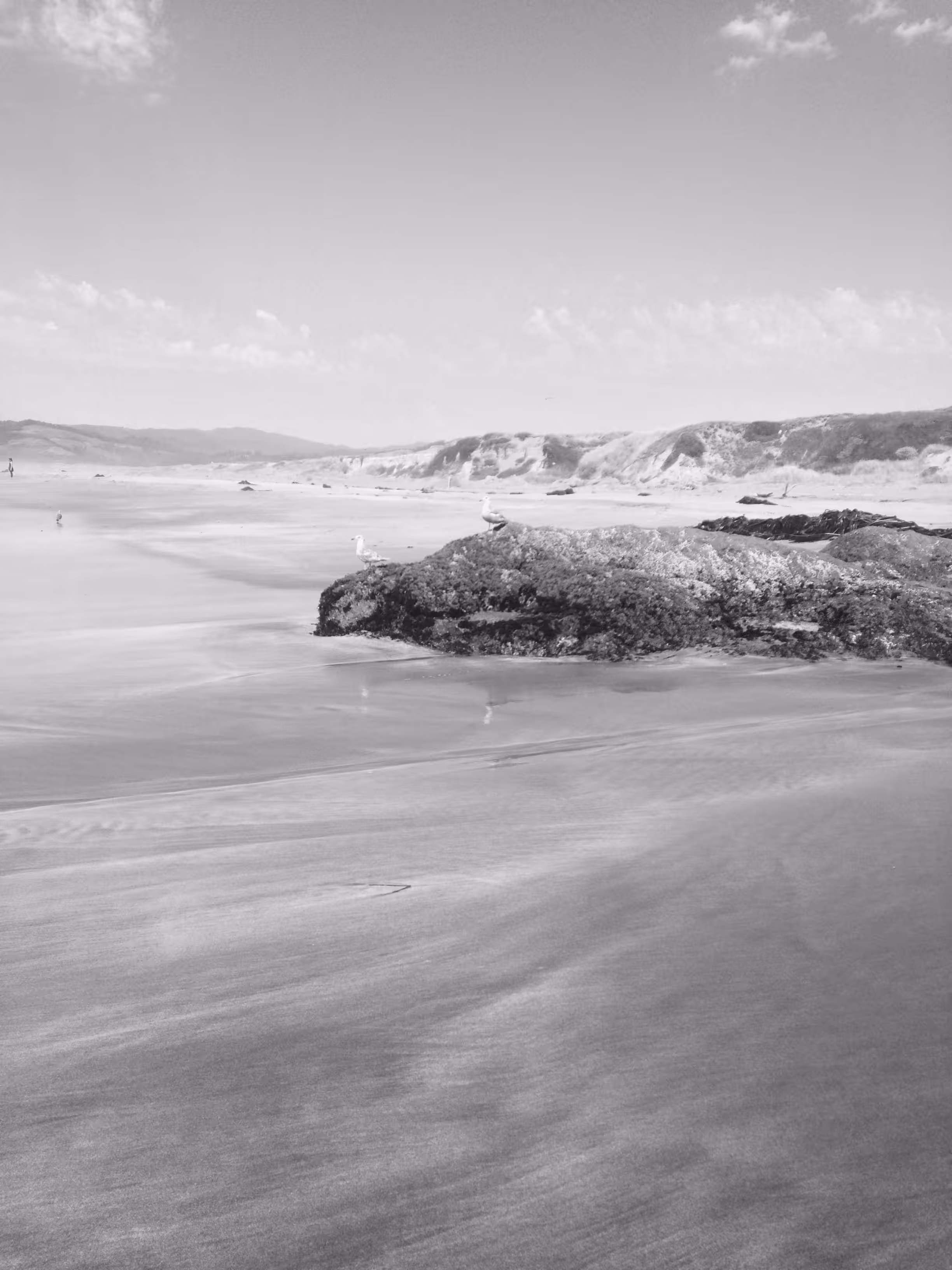  Cleone Beach  2015