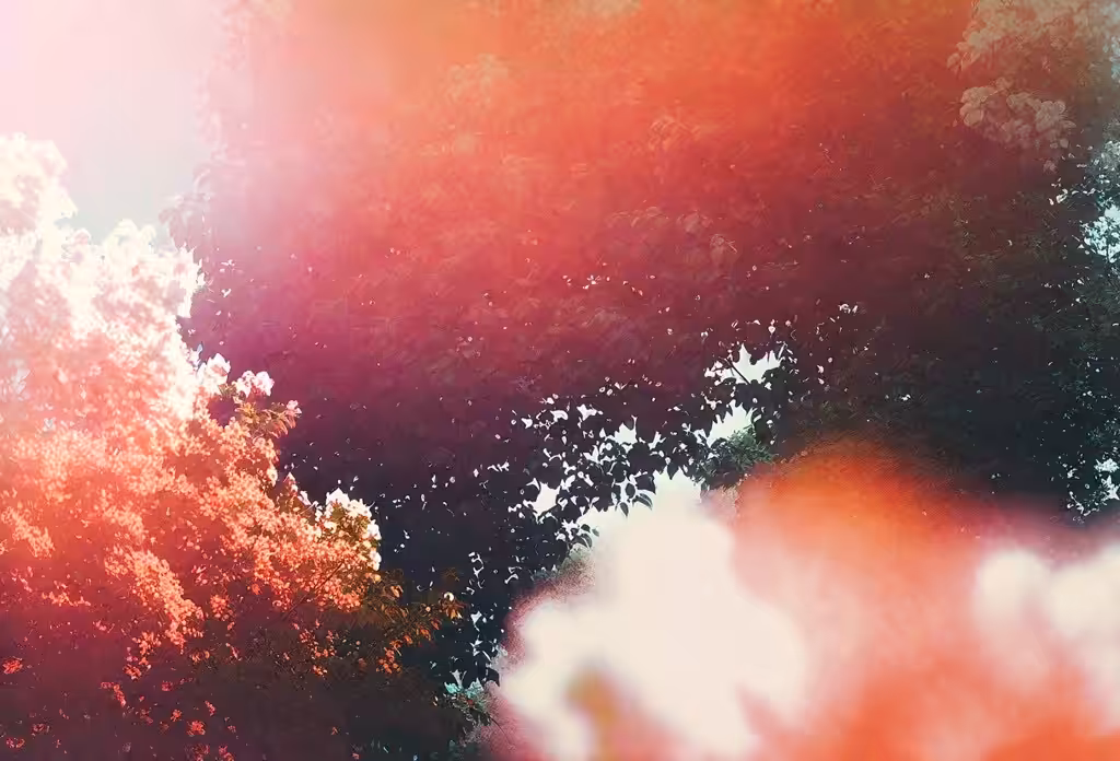 natural fiction 3.2
