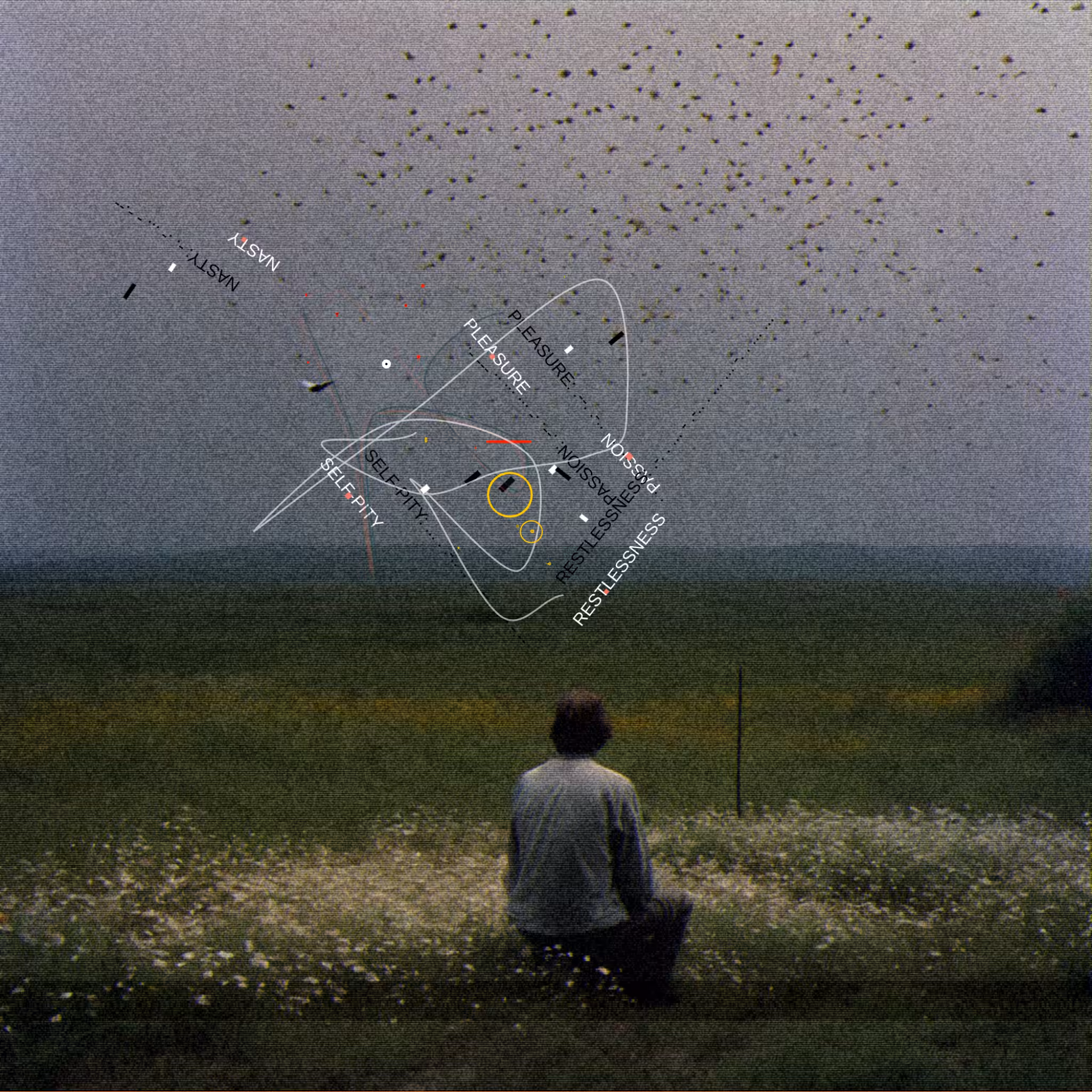 #111