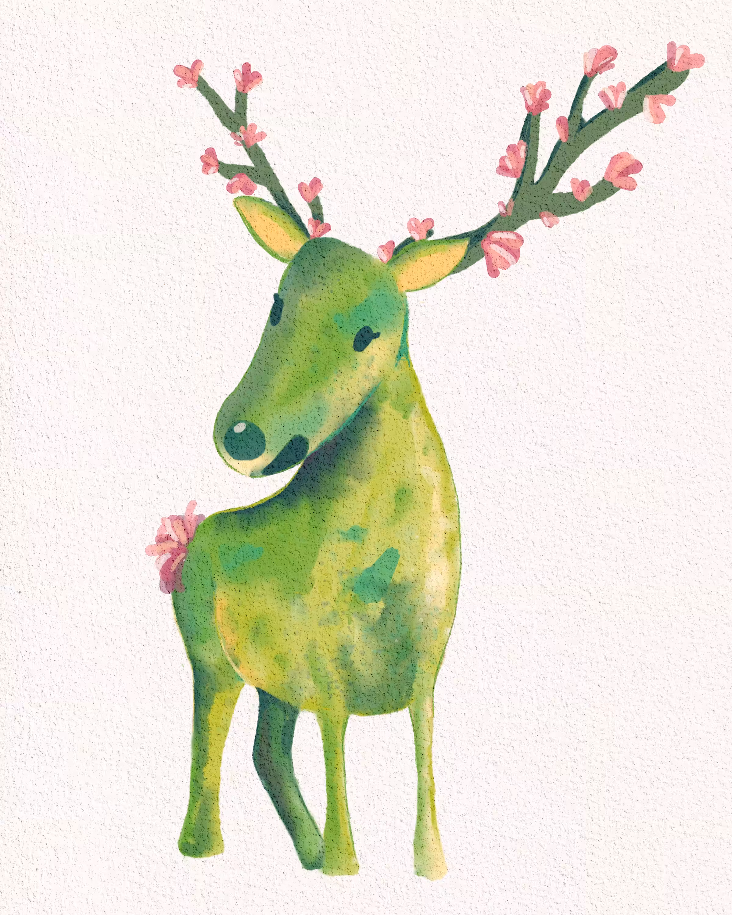 Shrub 005