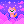 Night Shiba