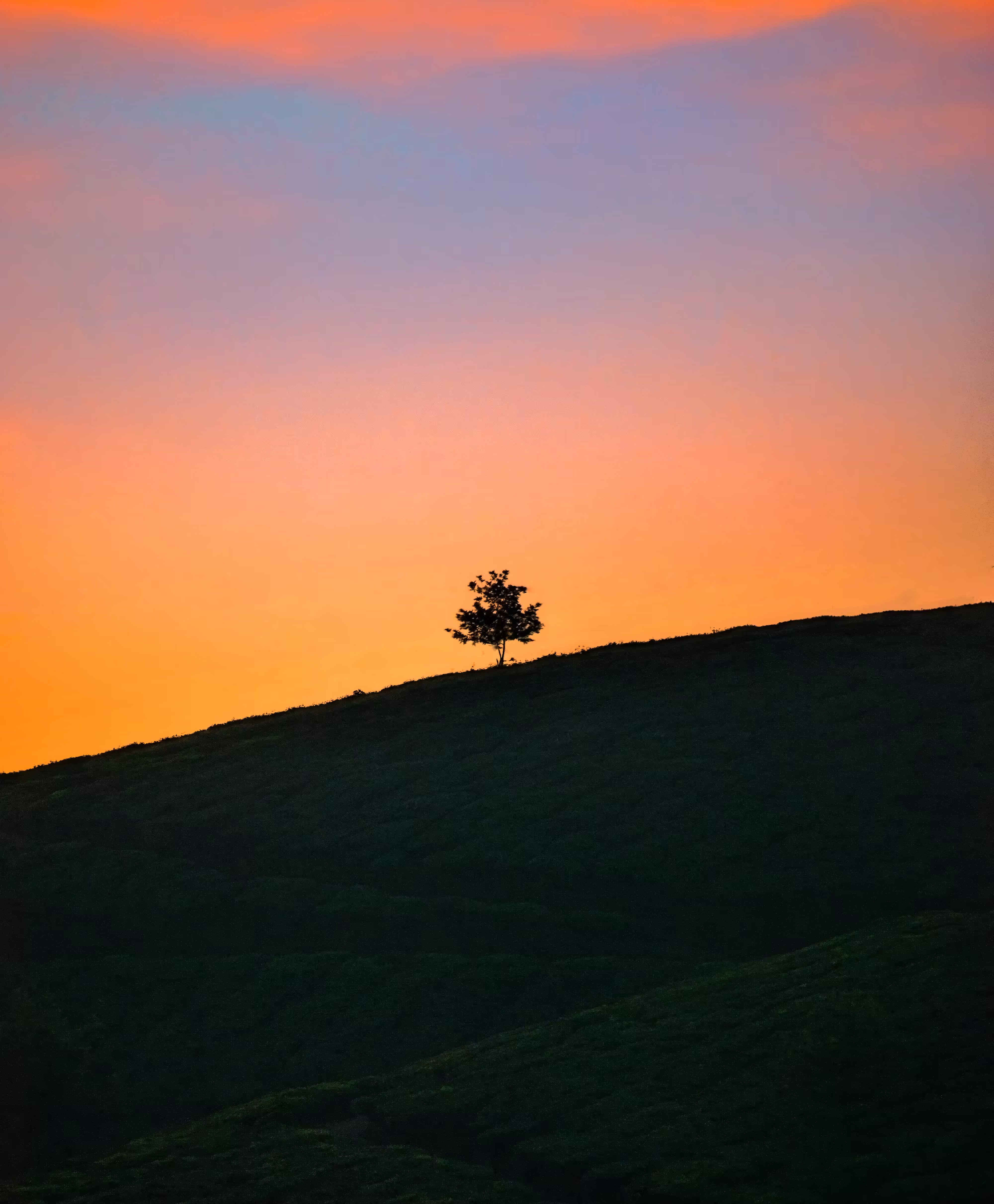 #4-THE LAST LIGHT