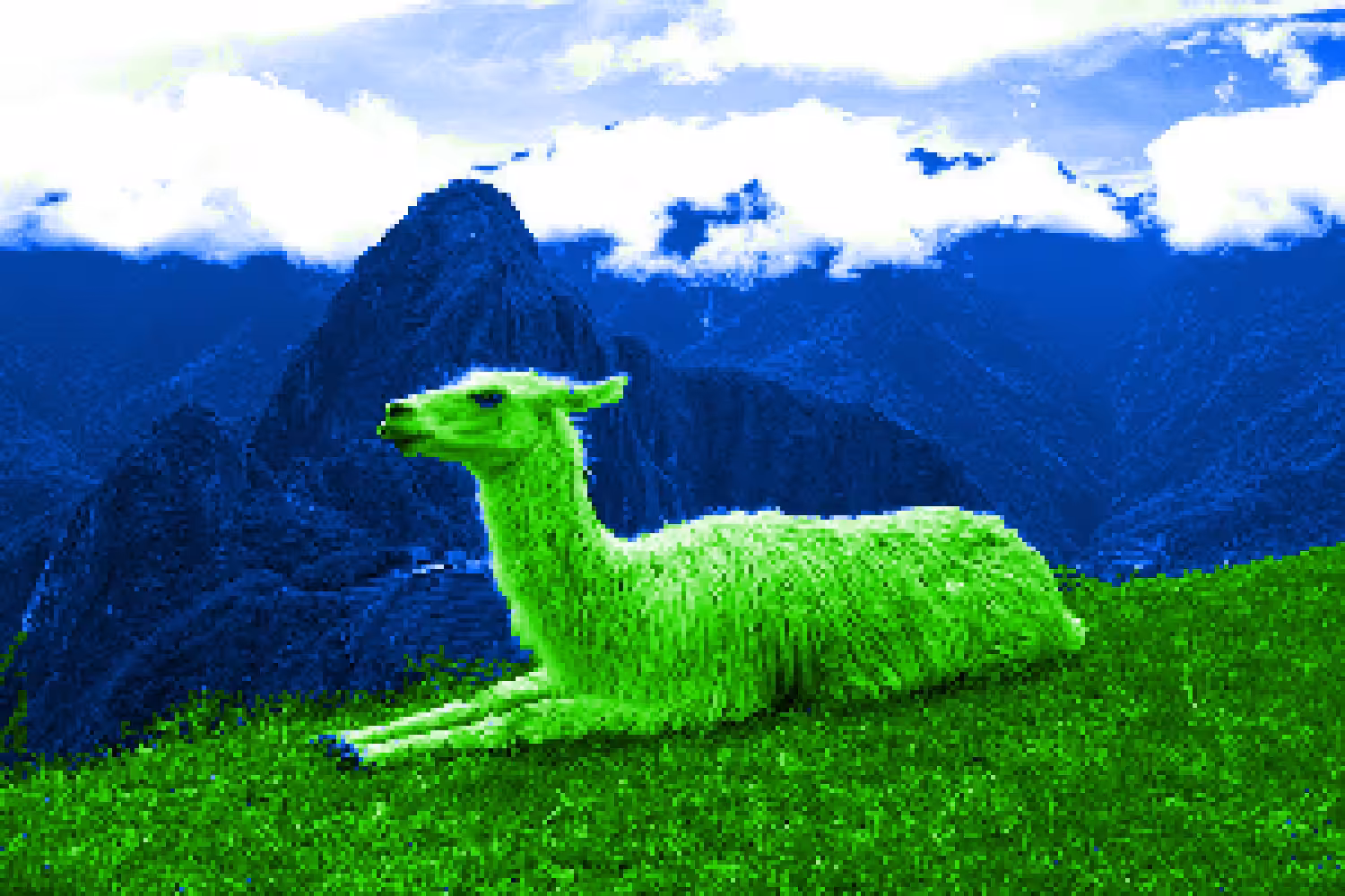 Llama #2