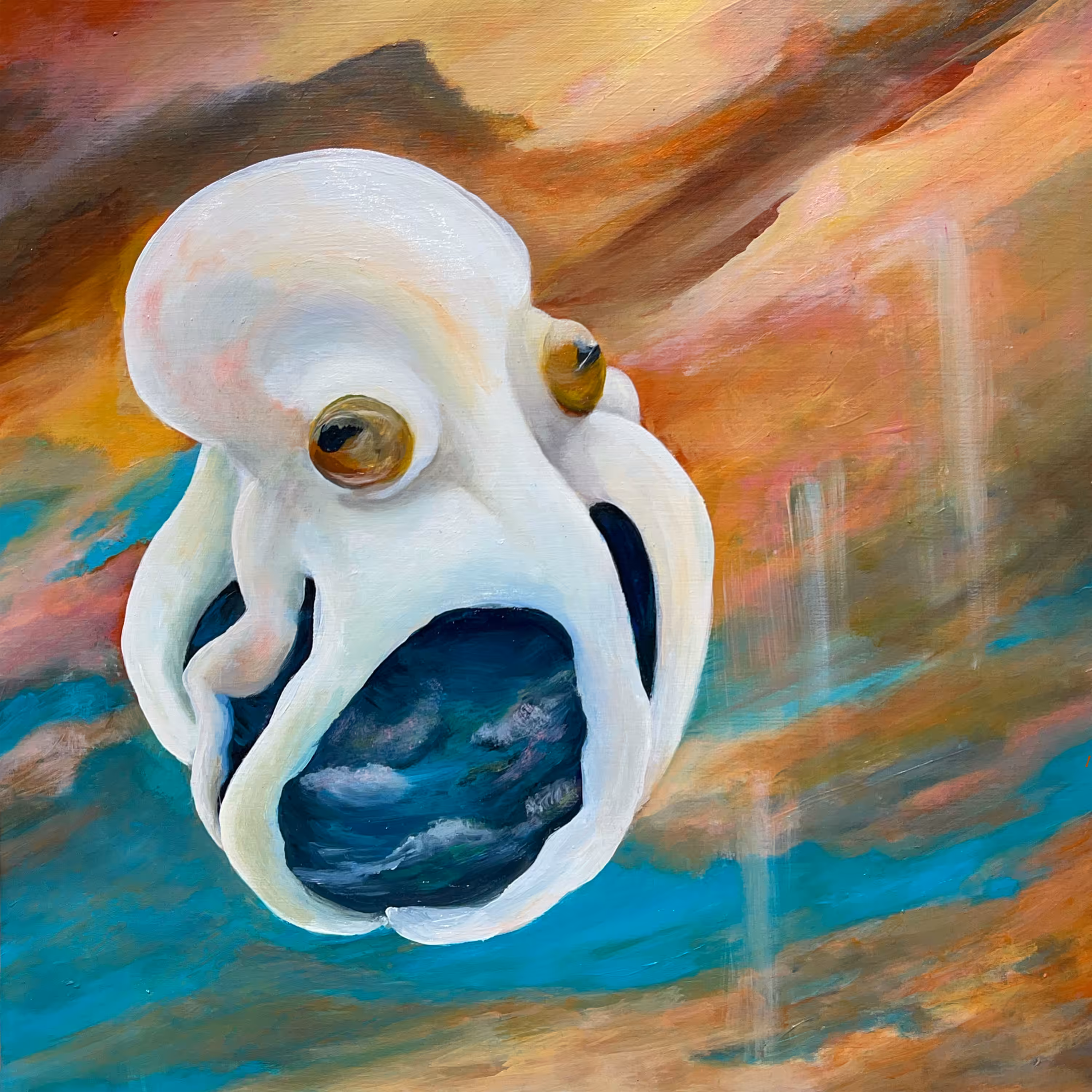 Cephalopod Dreams
