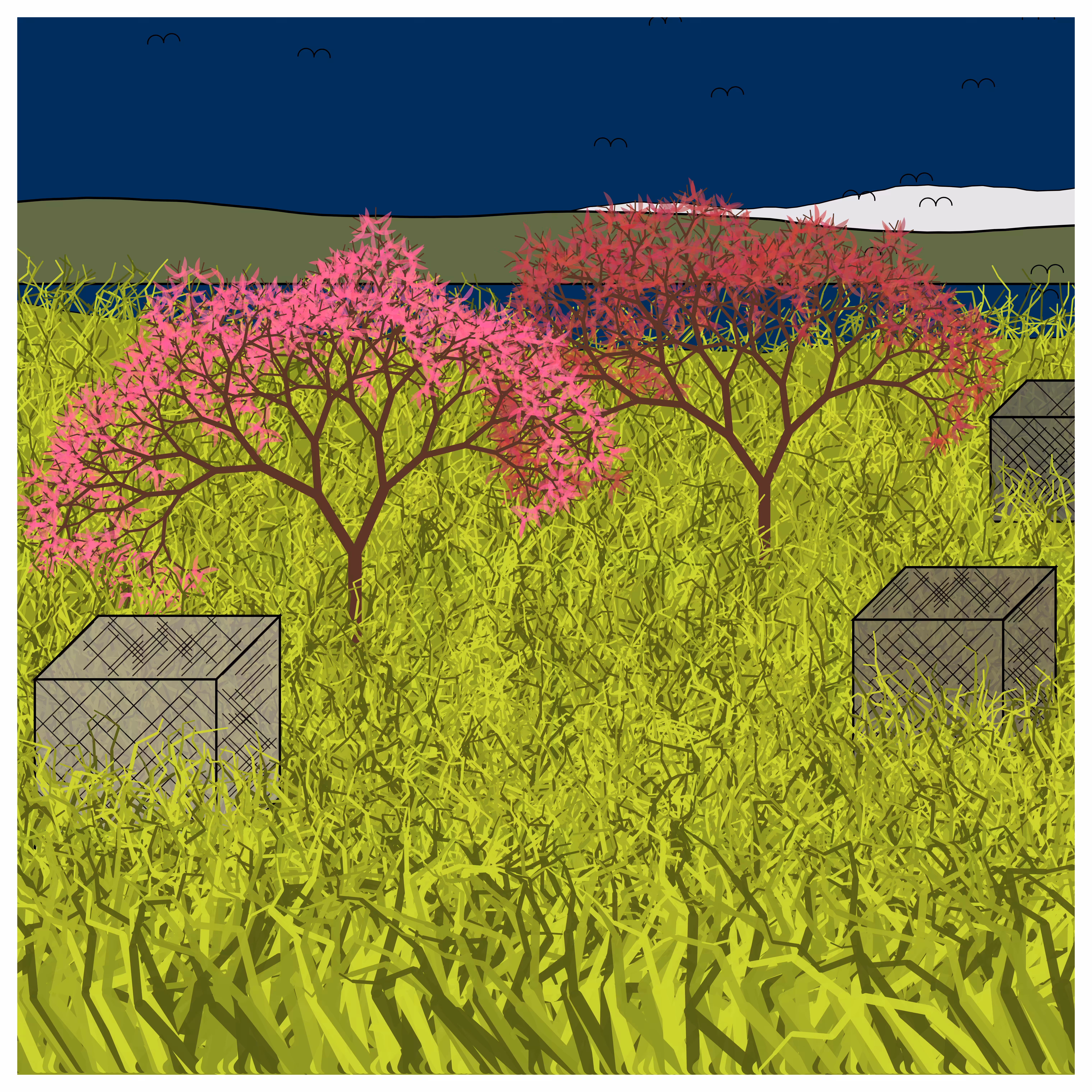 Cube Forest #73