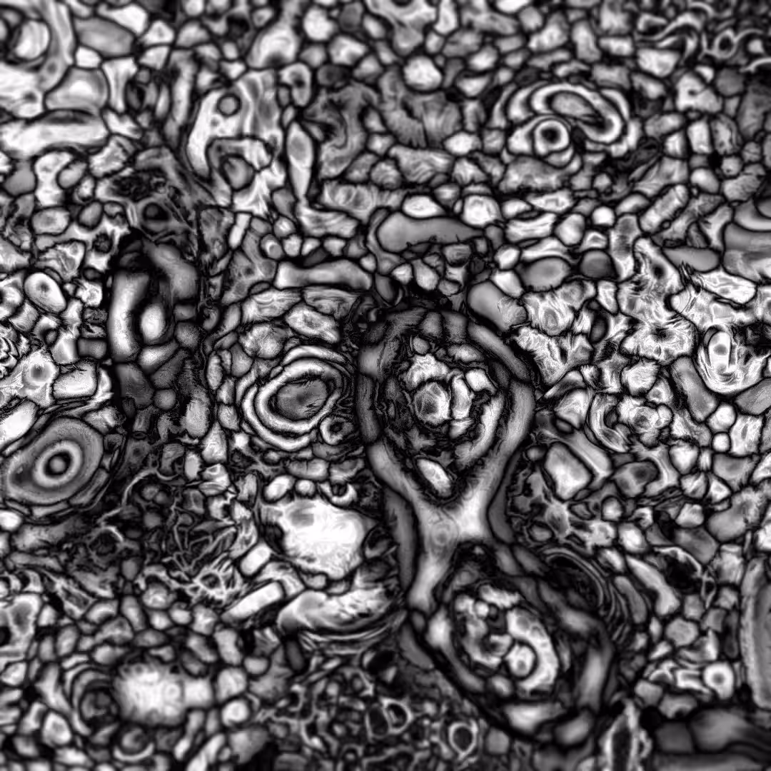 cell structure