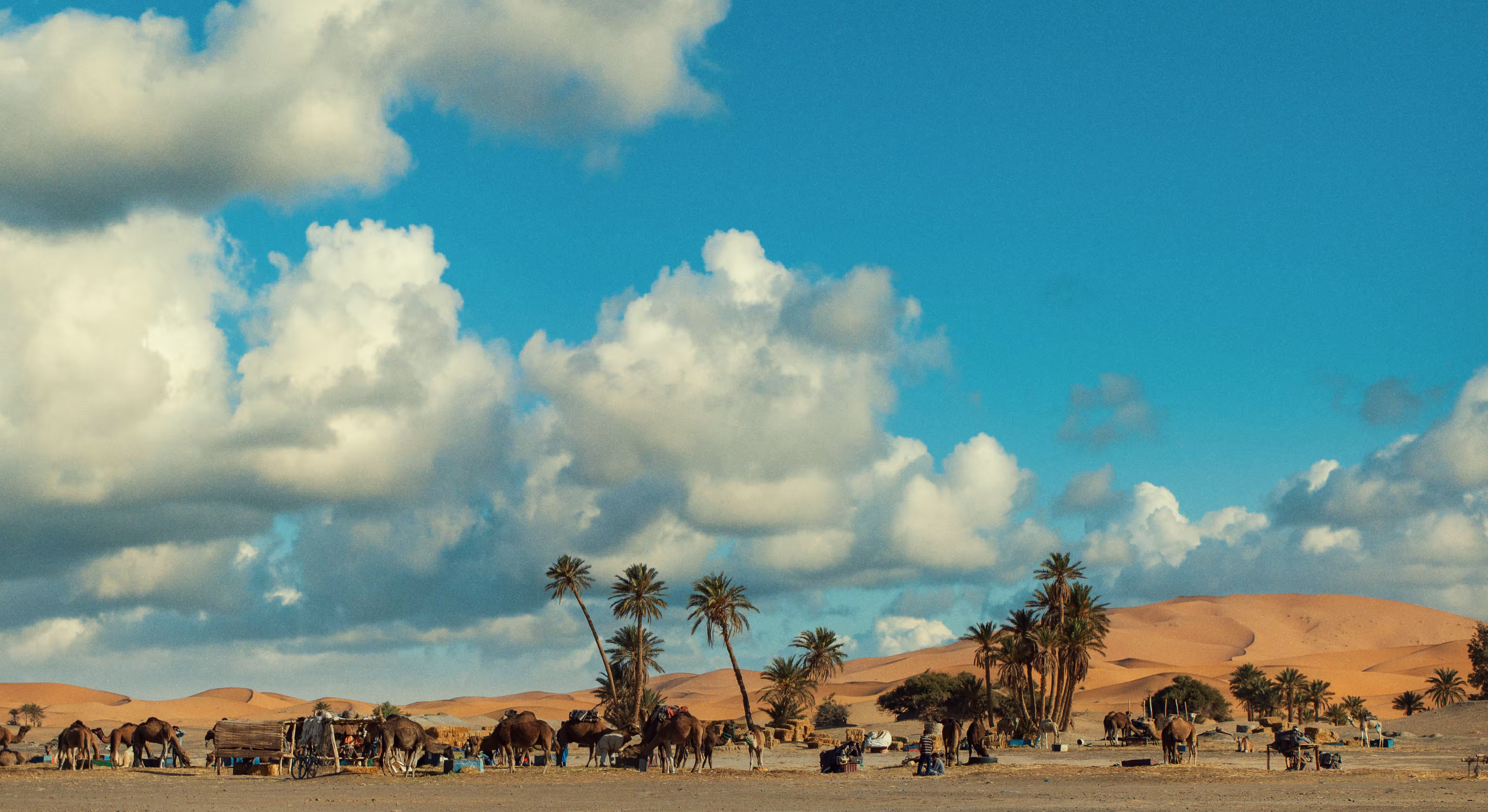 Amazigh Land #19