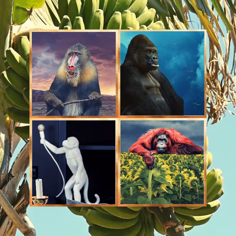 Banana legends #27