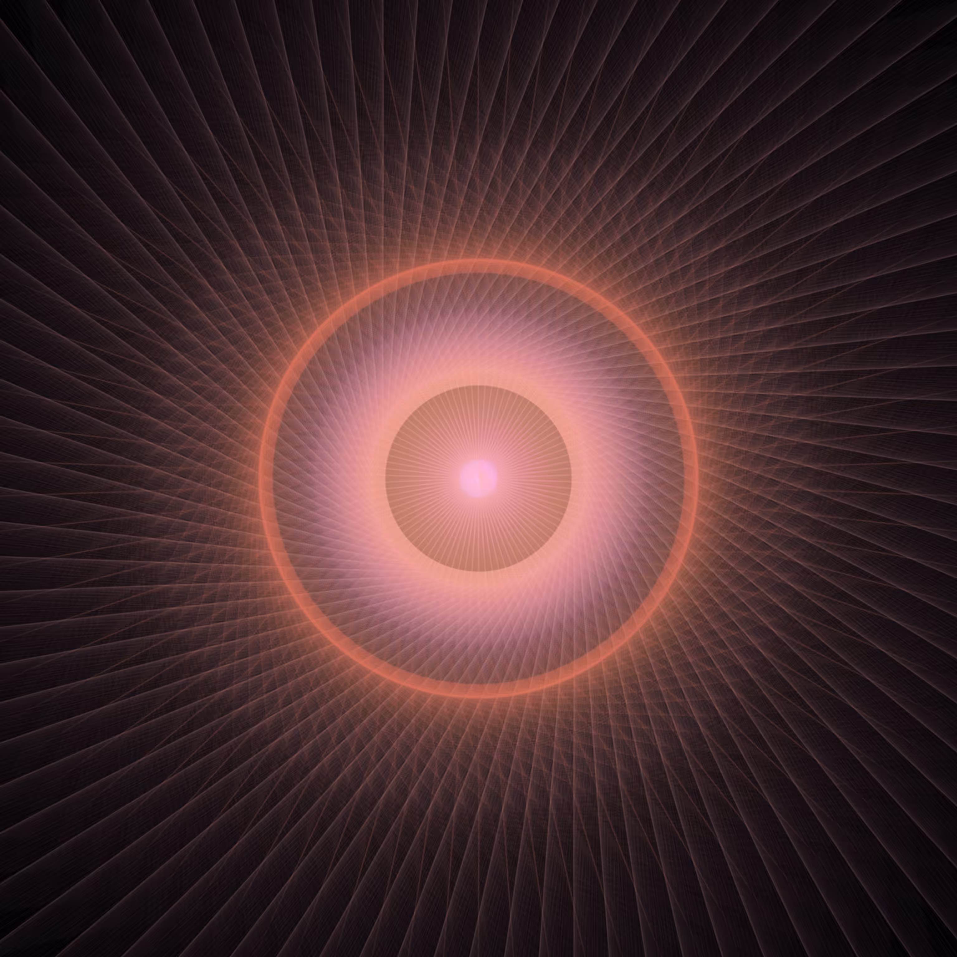 Infinite Beauty: Singularity