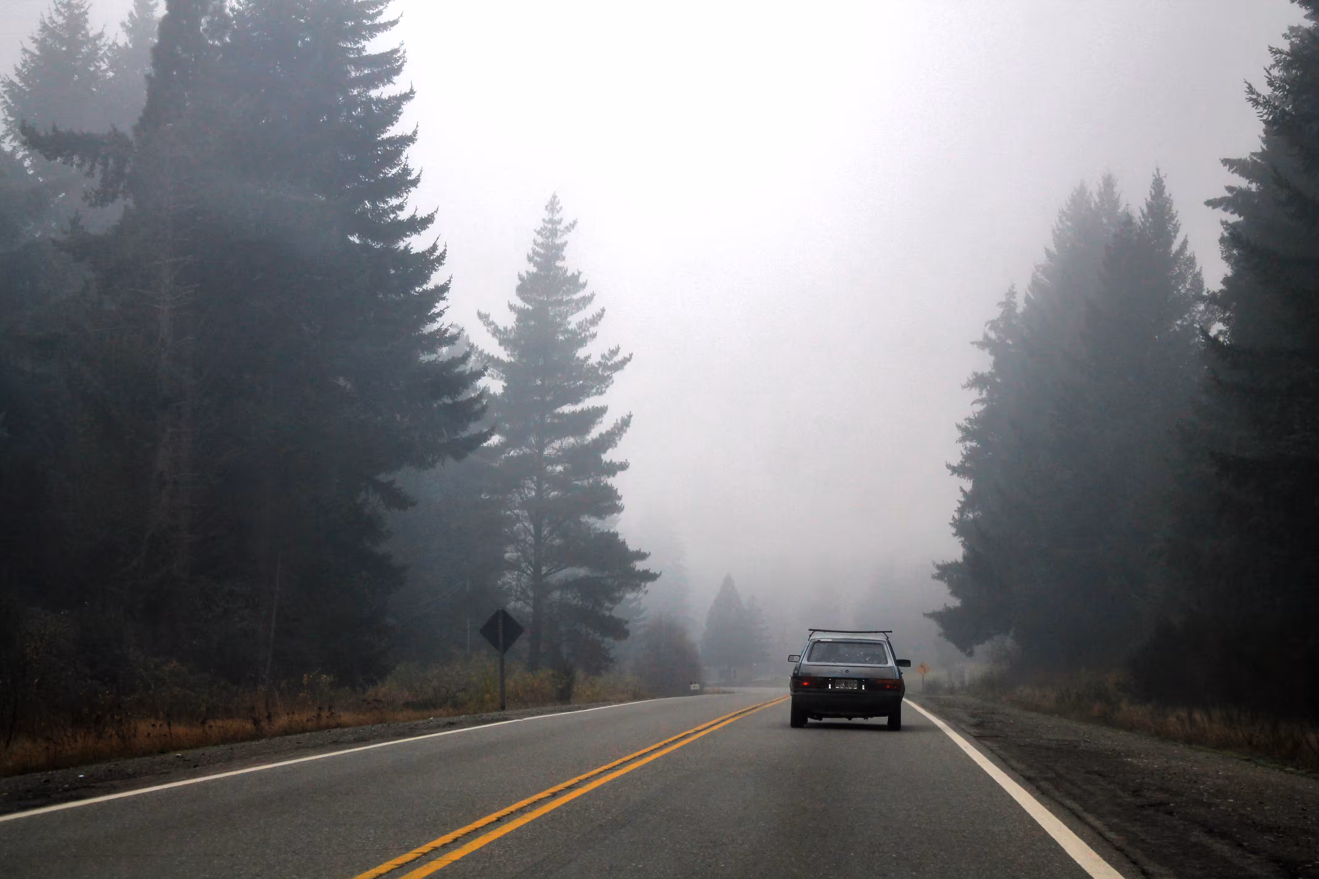 through the mist