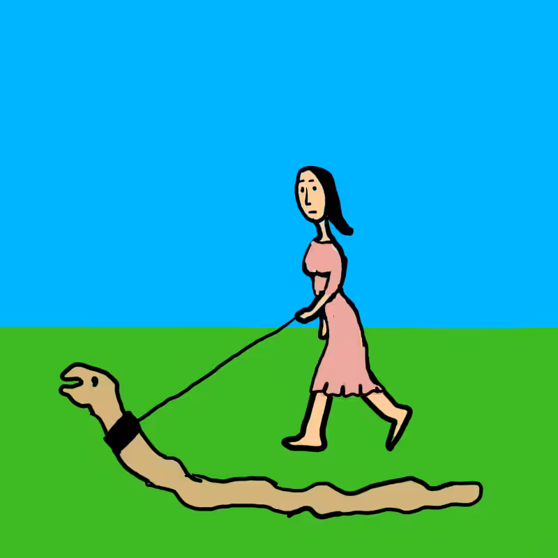 wALKING A DOG #34