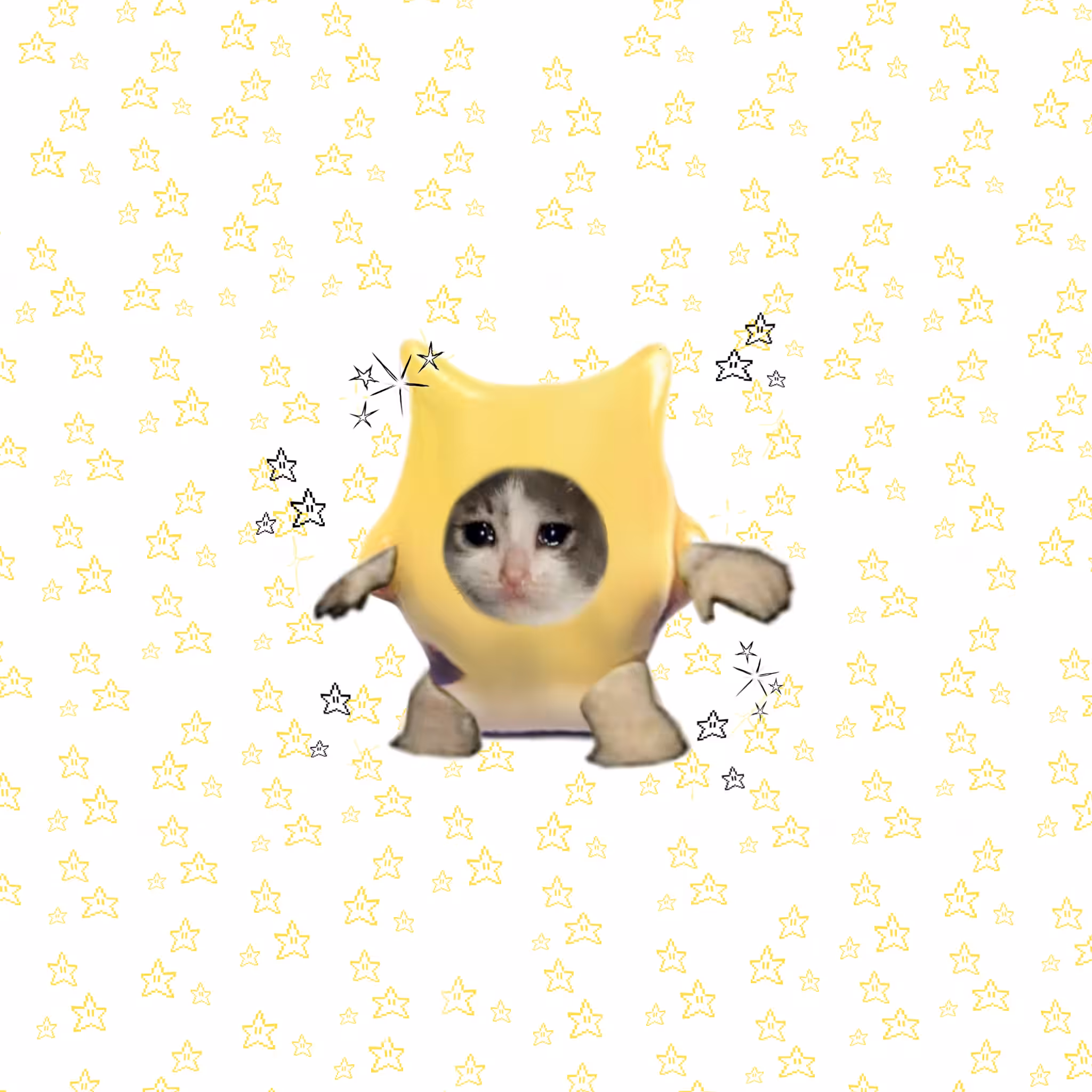 ✰✦starcat✦✰=3