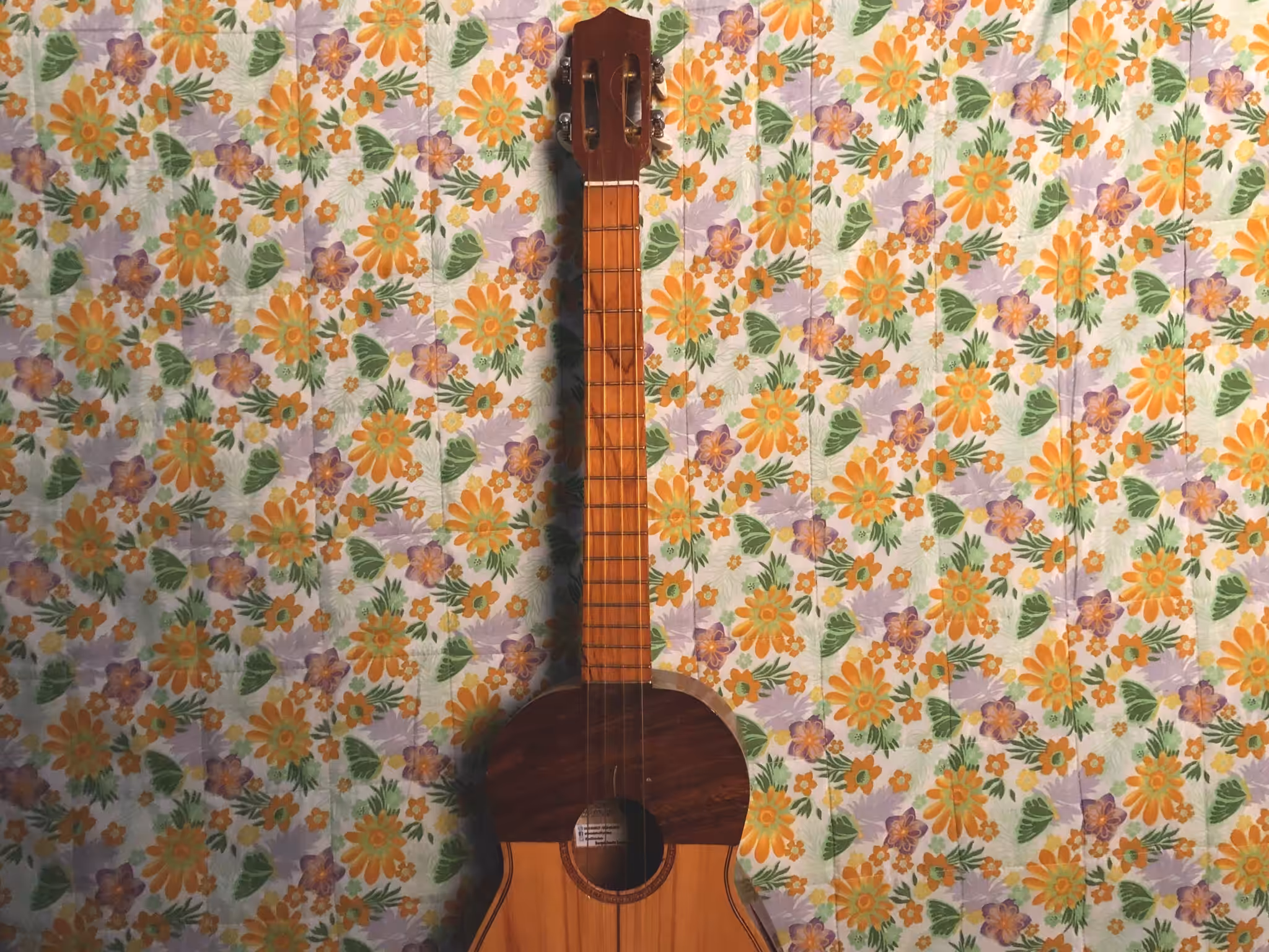 Venezuelan heritage | Herencia Venezolana
