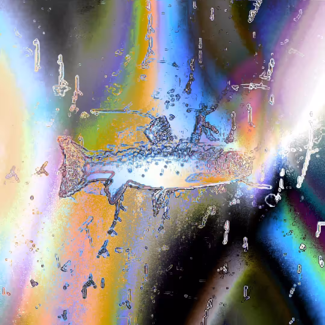 filterfish#5