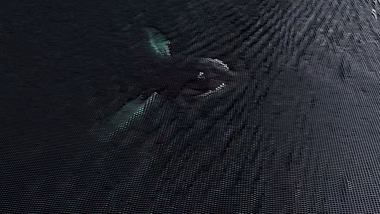 Whales and blocks