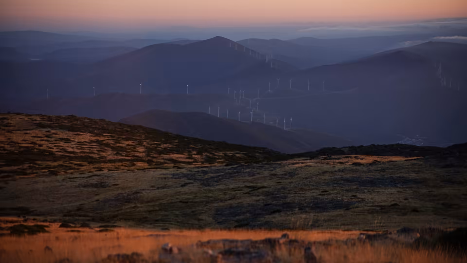Far Horizon
