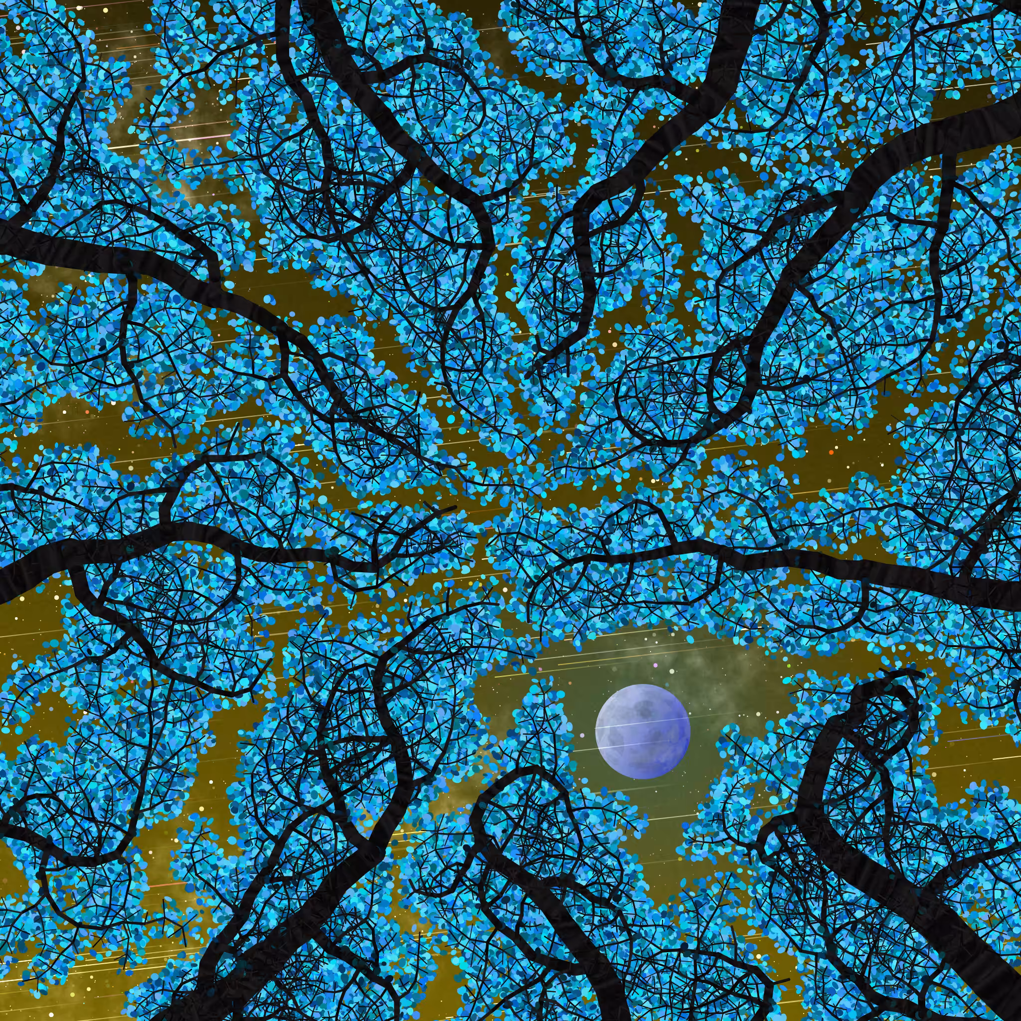 Tree Skyness #158