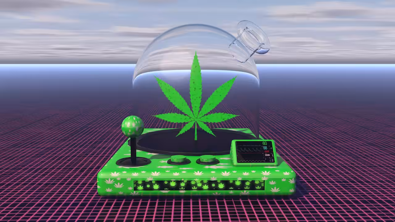 QUEIME O VERDE CERTO - Cryptoy #006