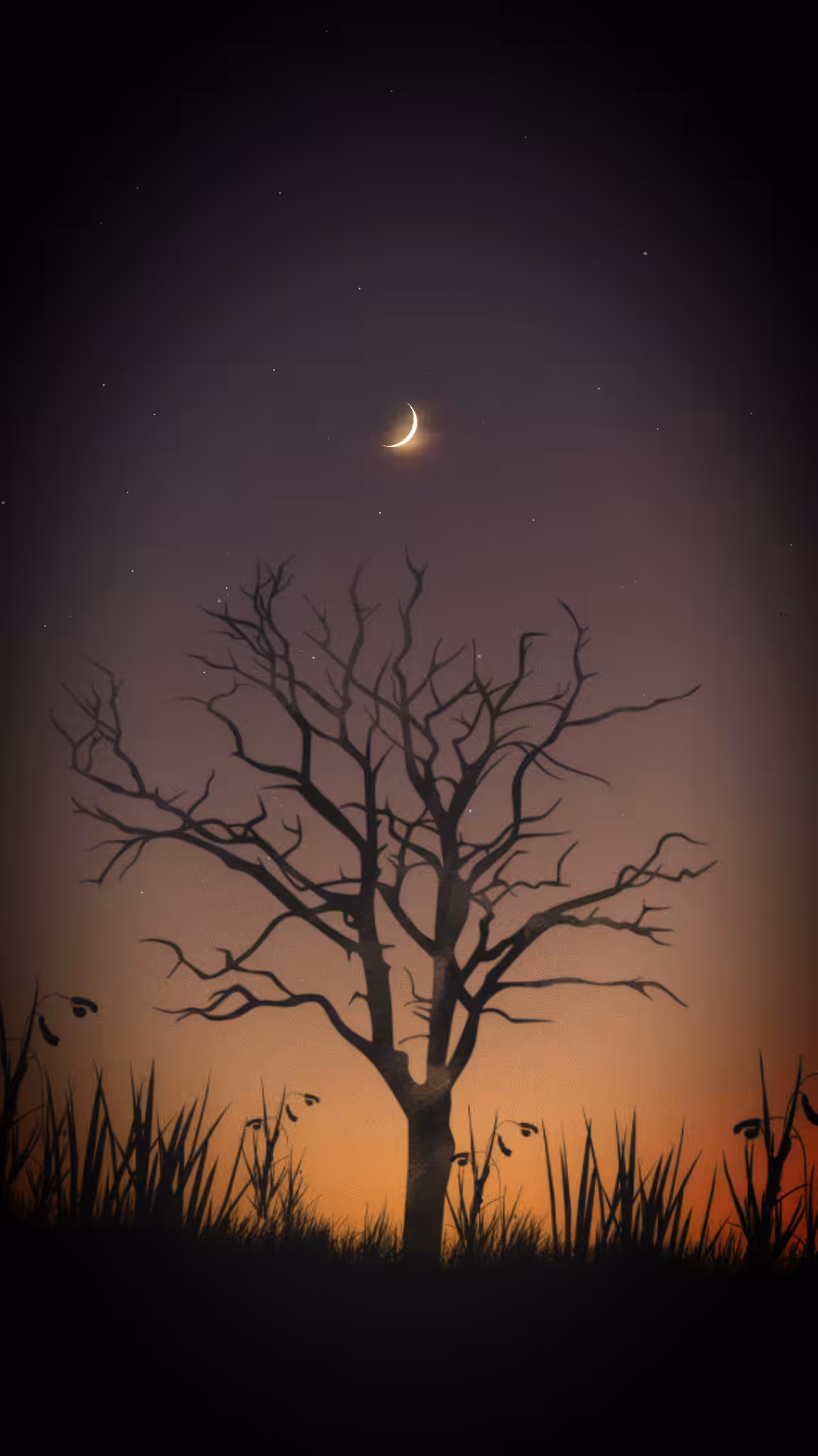 Twilight Hour