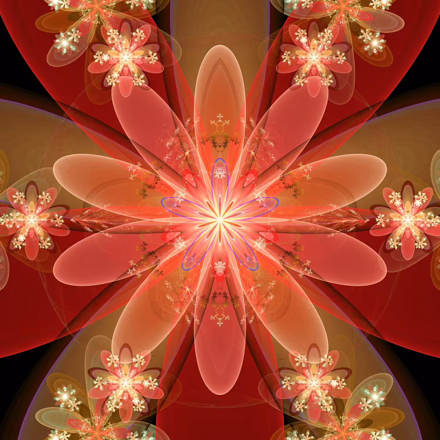 The Flower