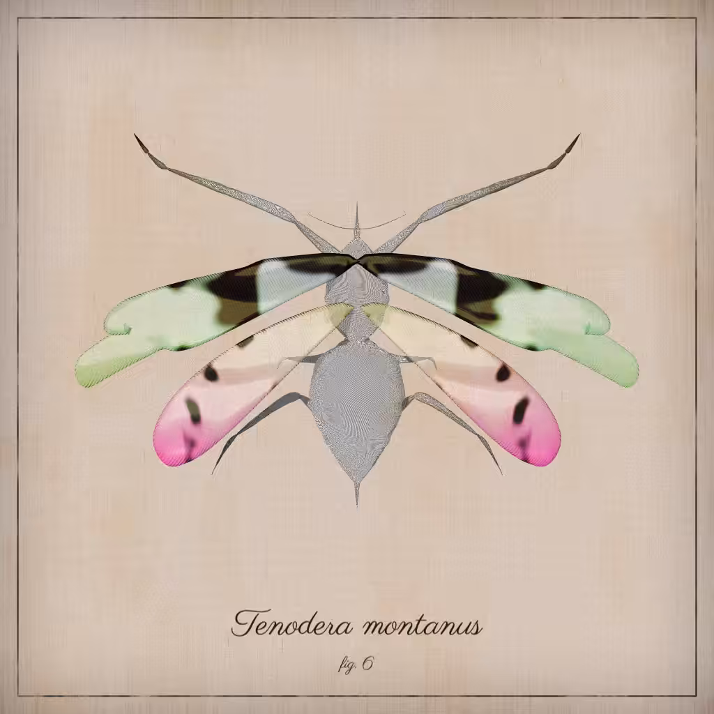 ProcGen Entomology #512