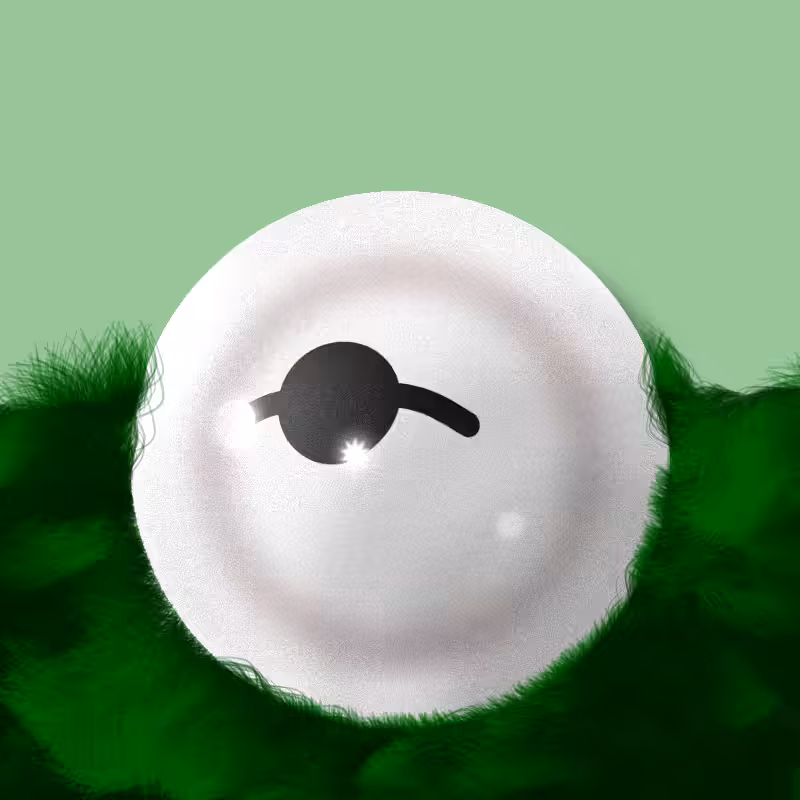 Fuzzy Gaze #44