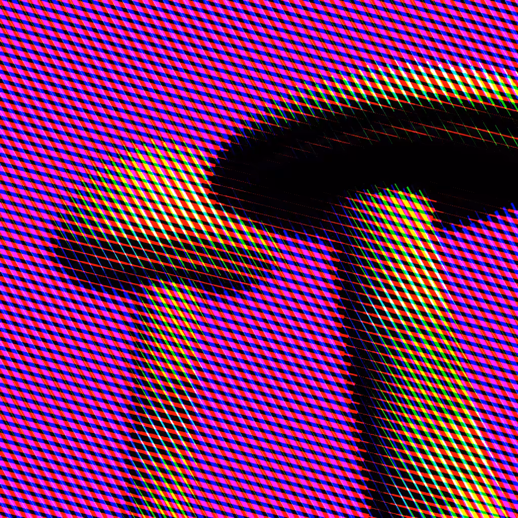 Psilocybe Azurescens #36
