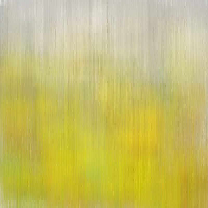 Hatch Field 001 #215