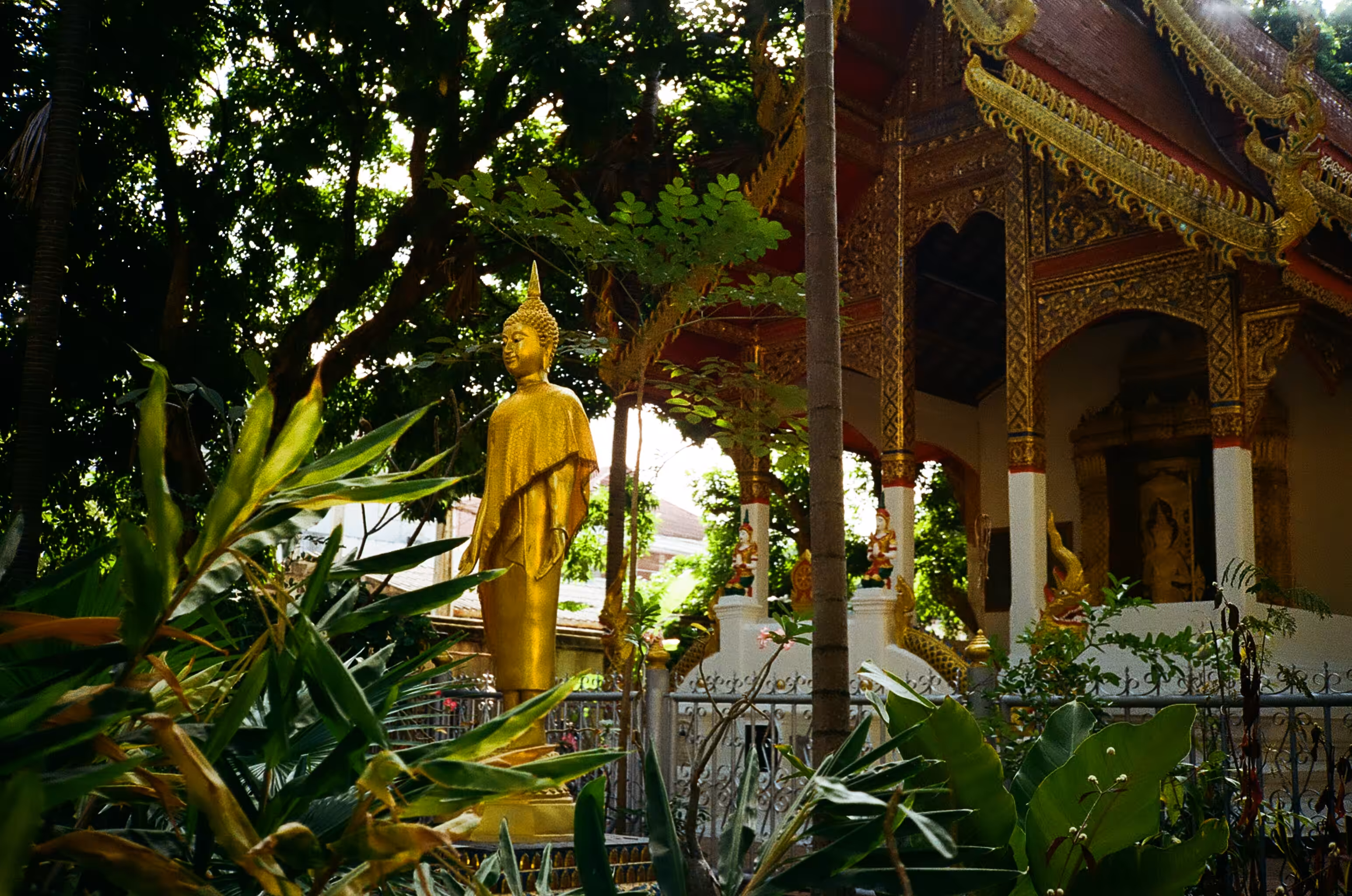 Thailand: Peace in Nature