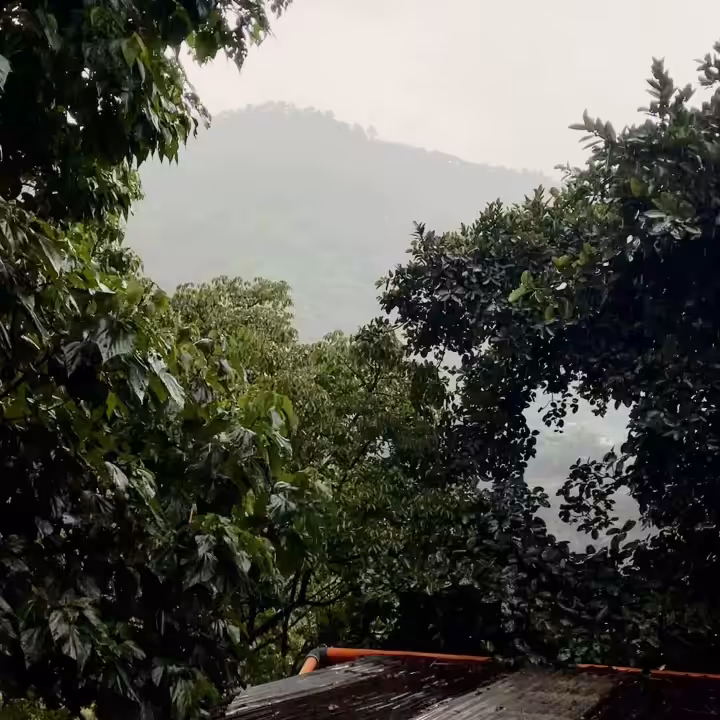 MOMENT #26 - Watching the rain.