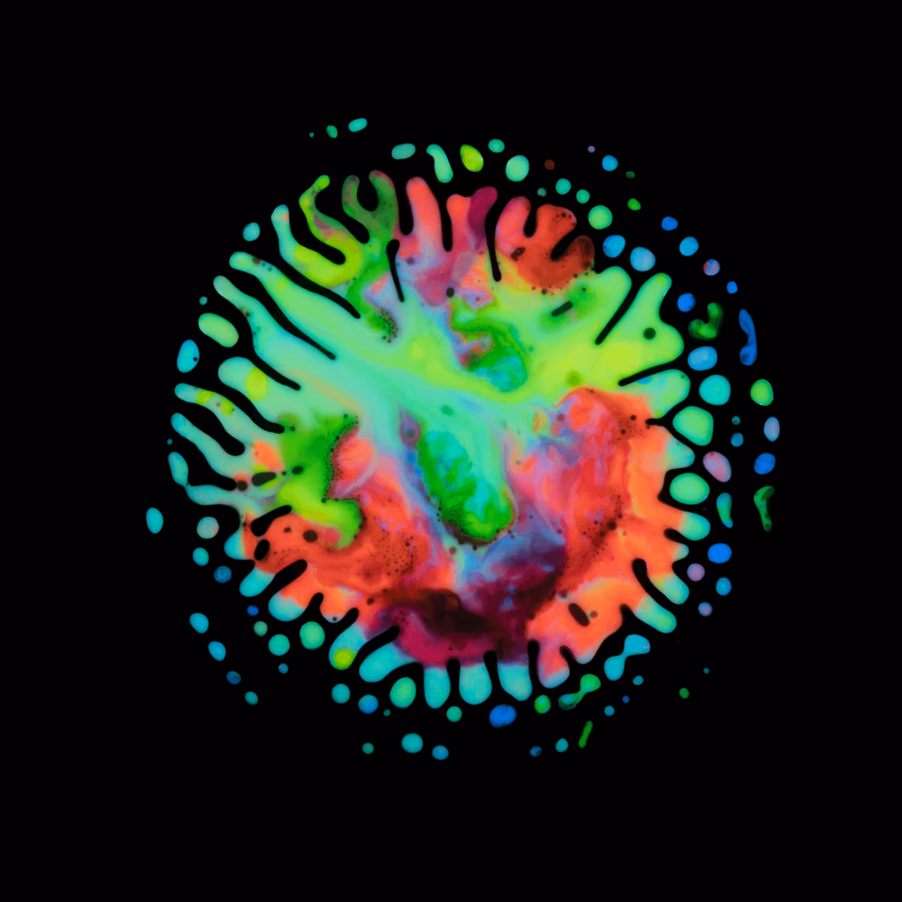 Haematopoiesis #21