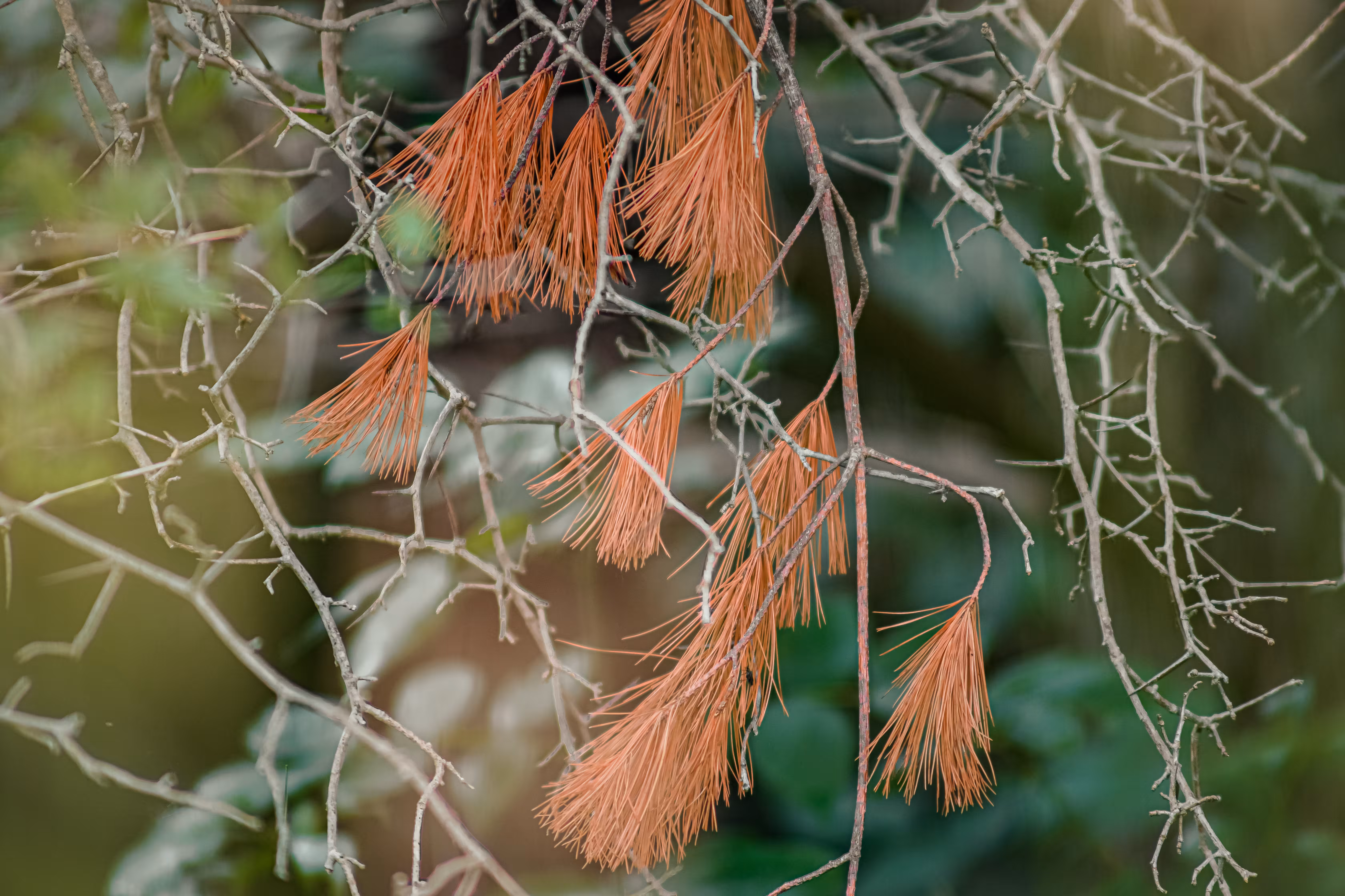 Unfolding 