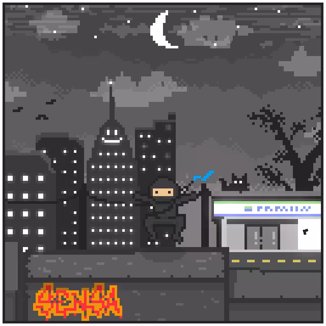 City Ninjaz #27