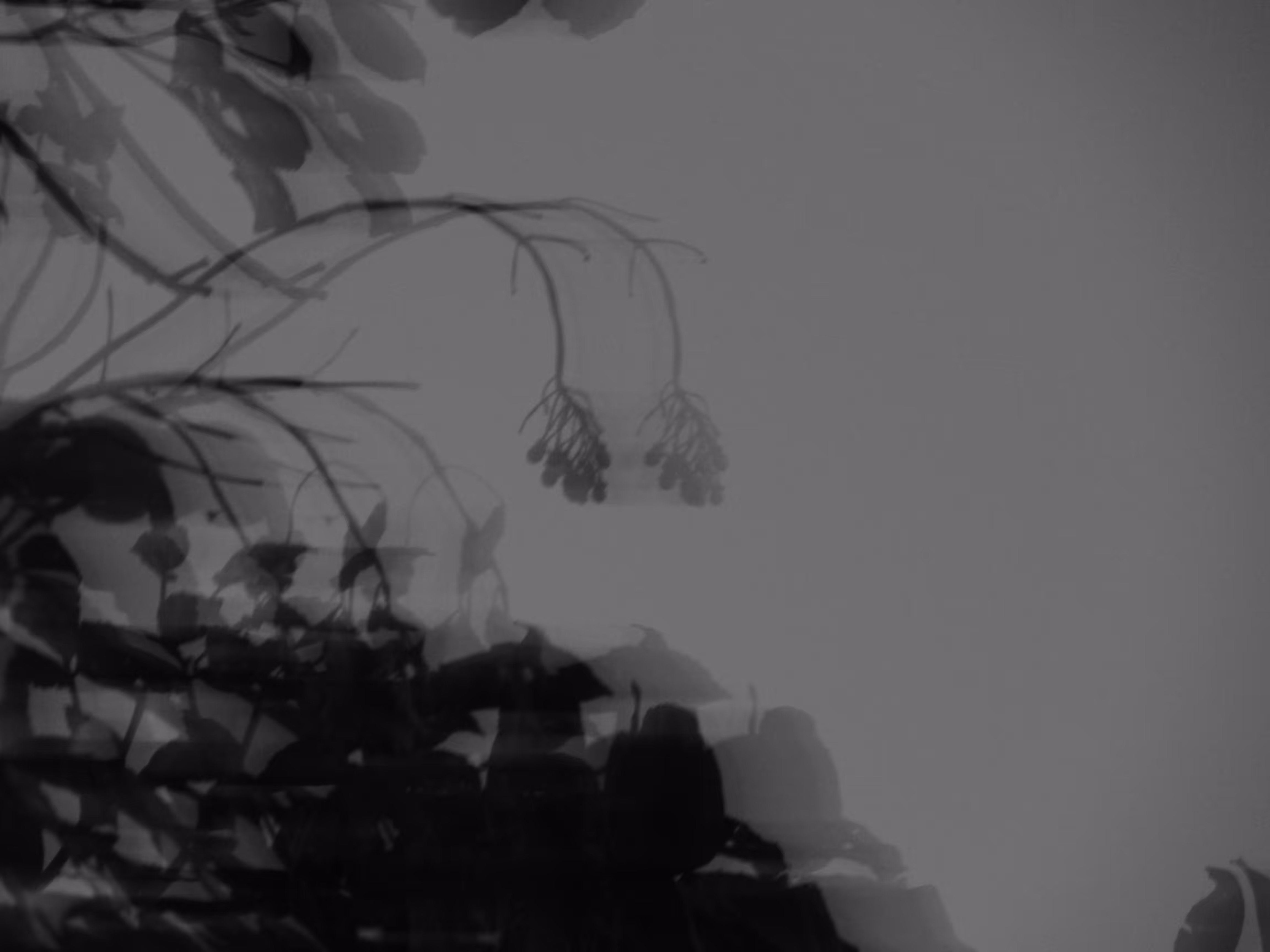 painting with a camera - Piece 08