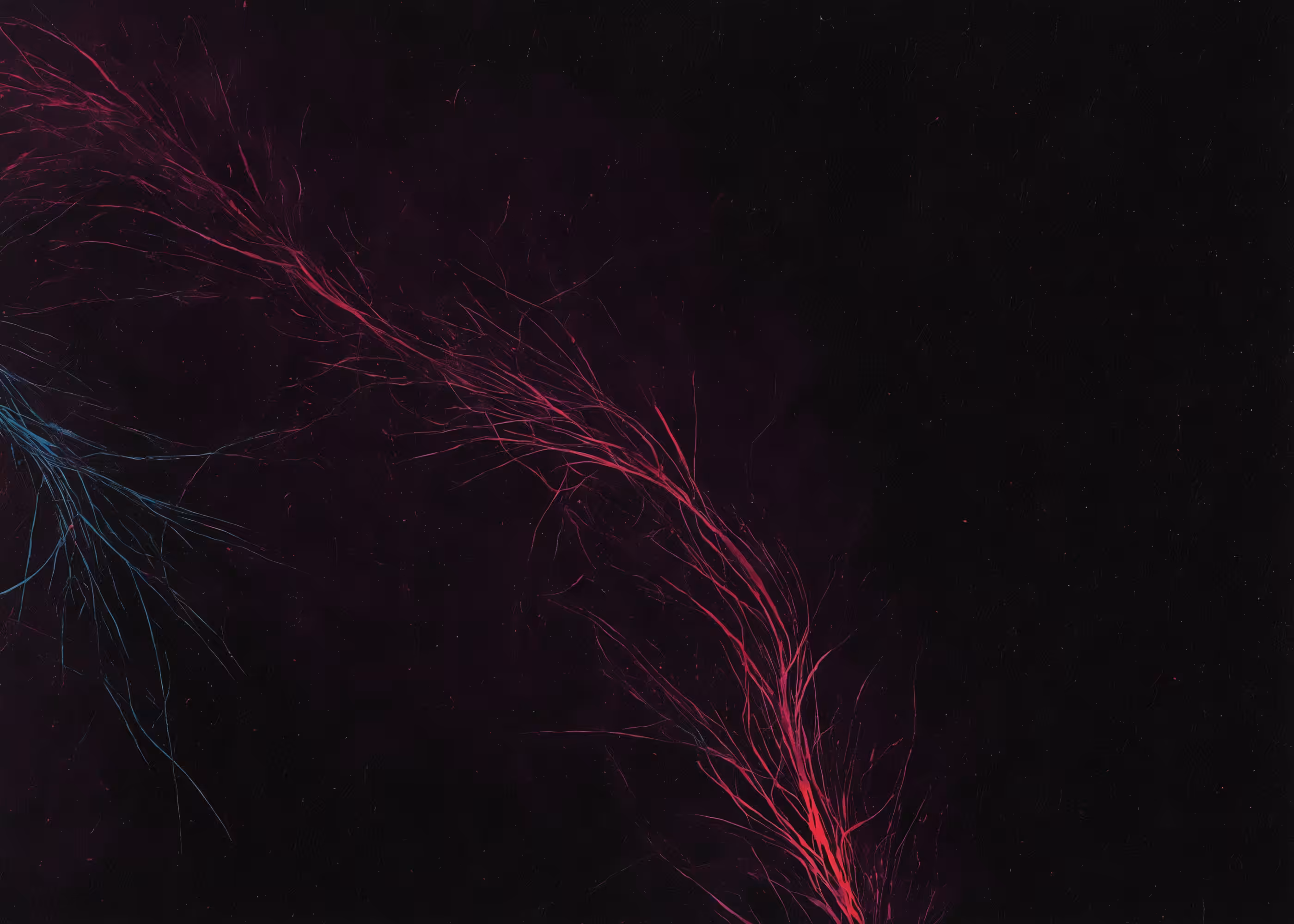 Lumens #134