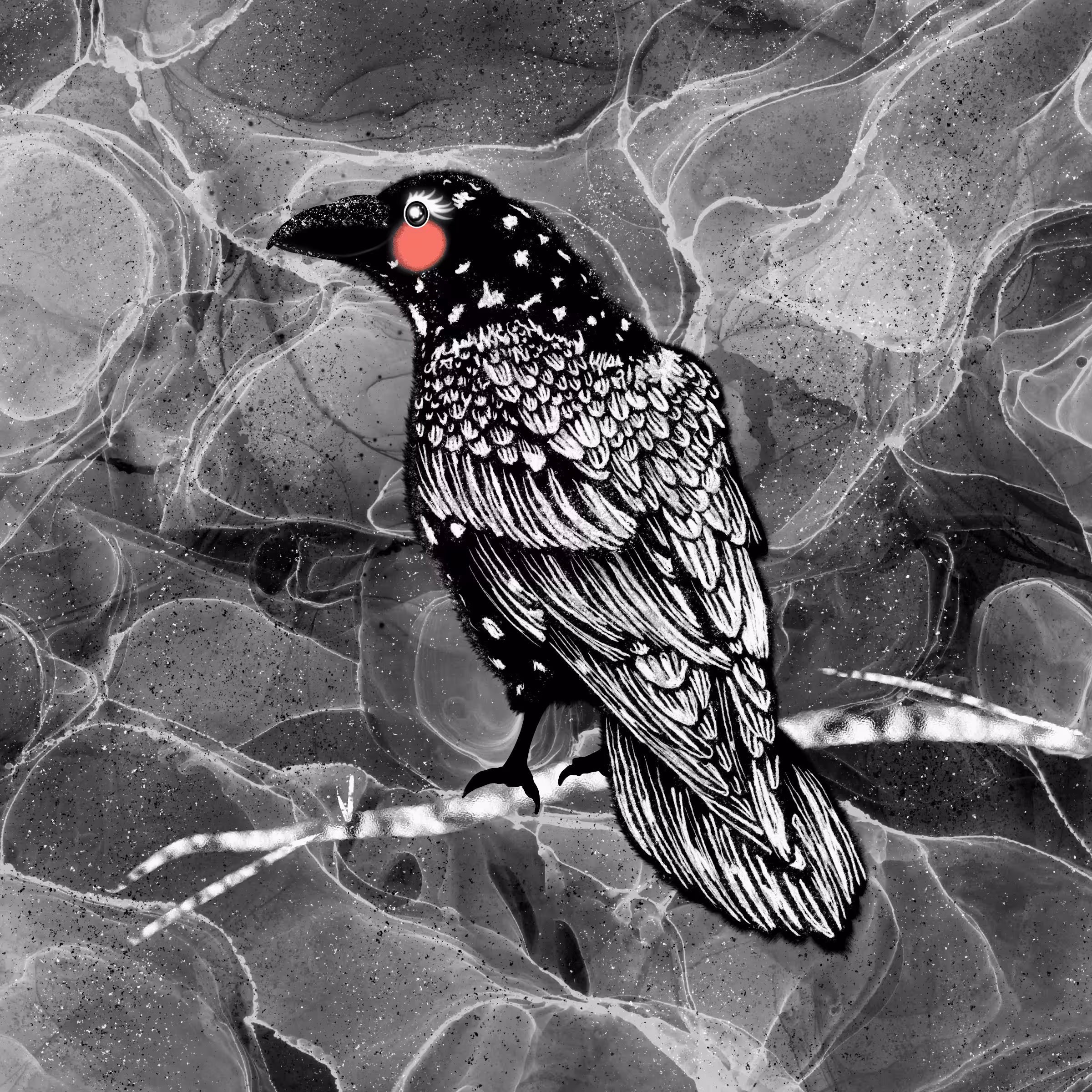 Magic Wing'SZ by Su: Black White Raven
