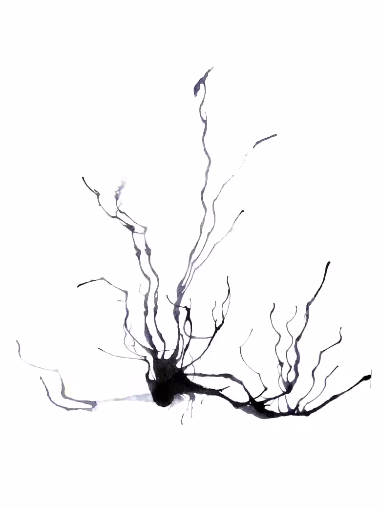 Dark Trails #16
